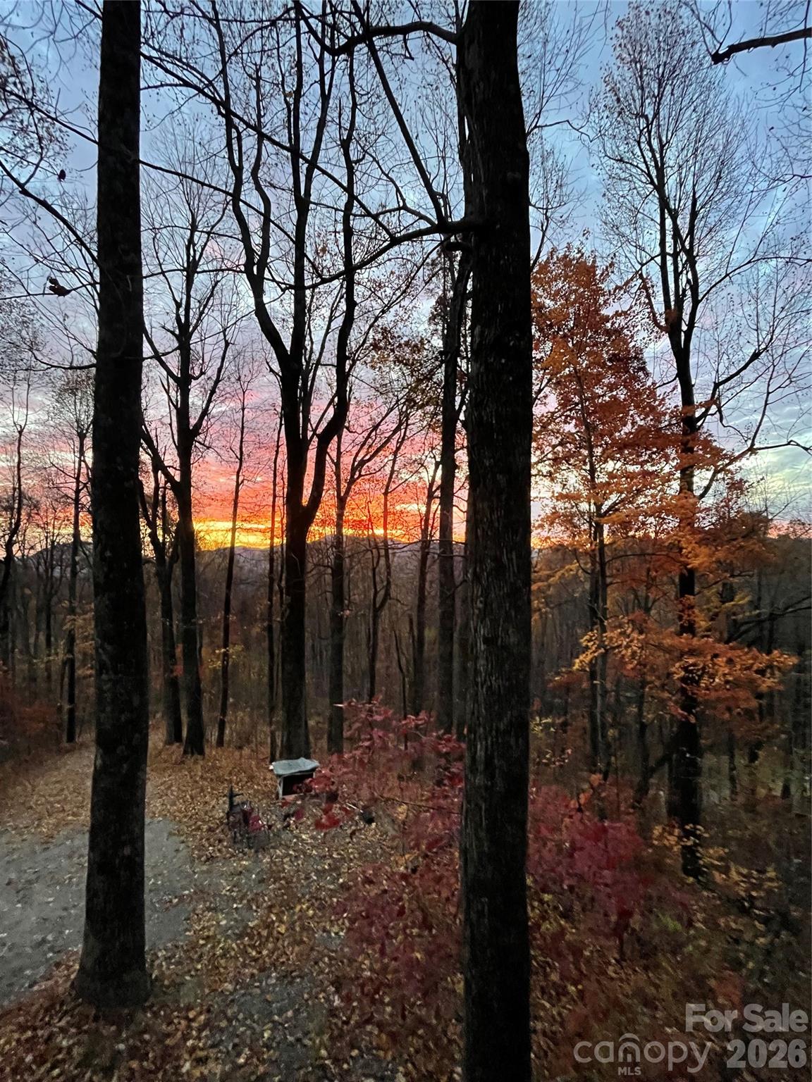 main property photo 36
