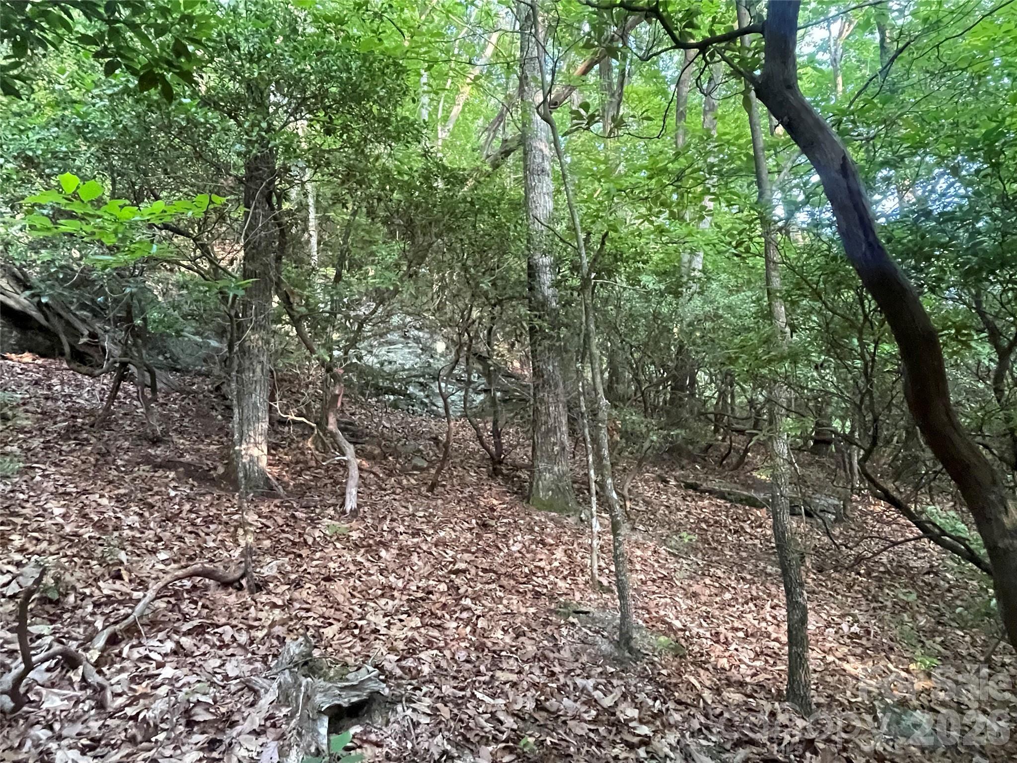 main property photo 13