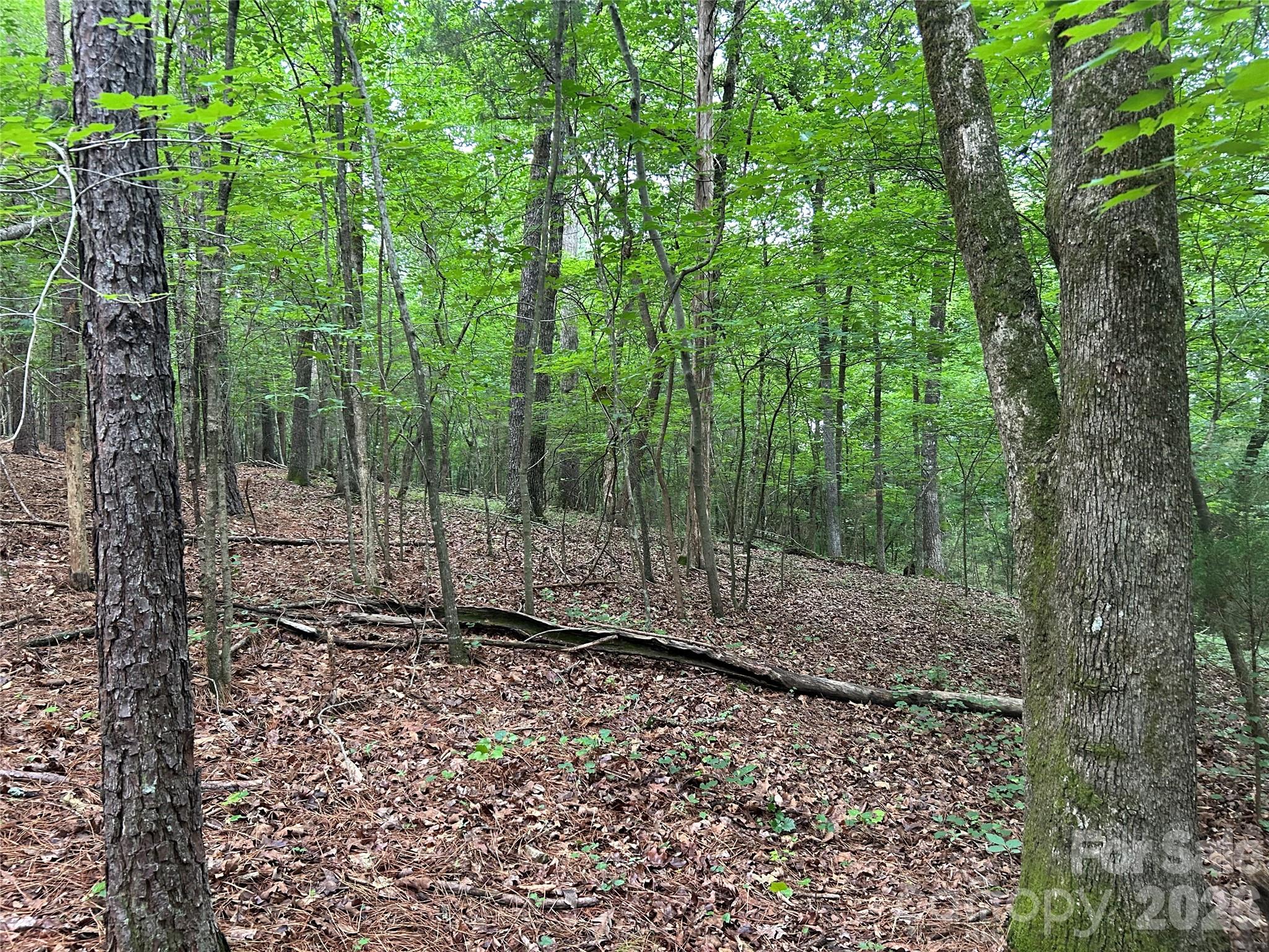 main property photo 38