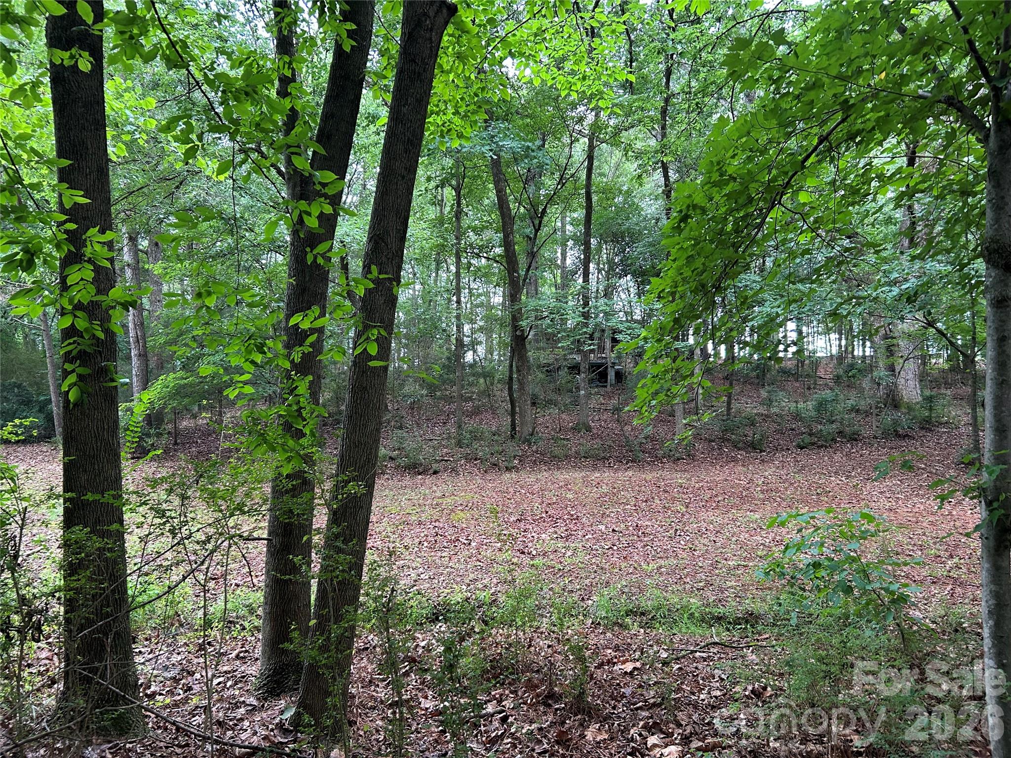 main property photo 45
