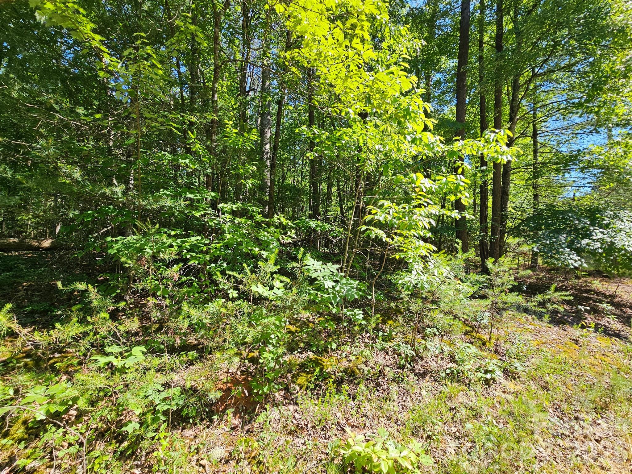 main property photo 8