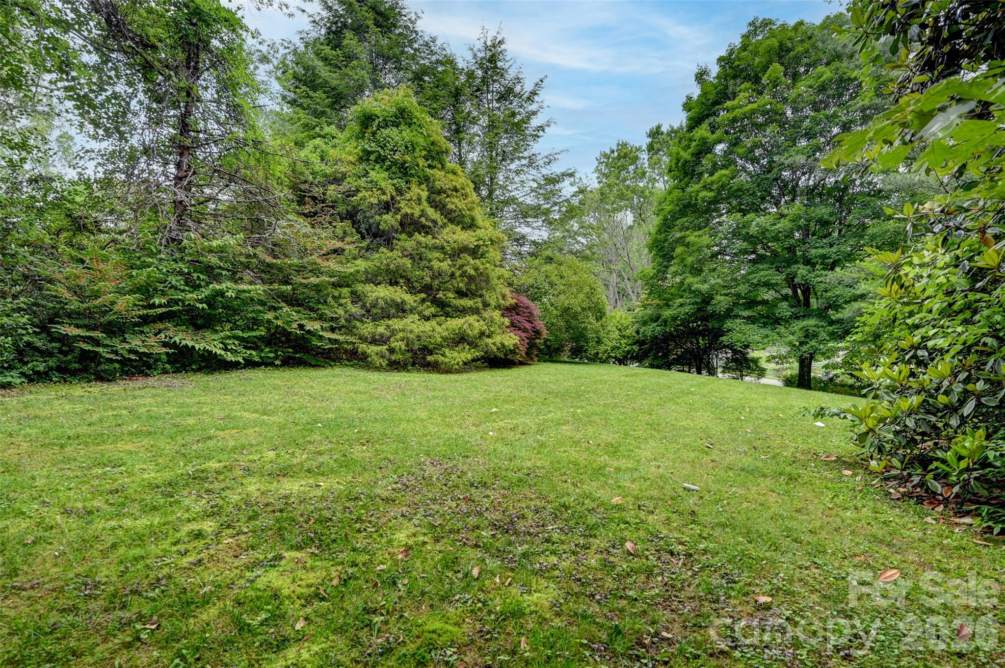 main property photo 42