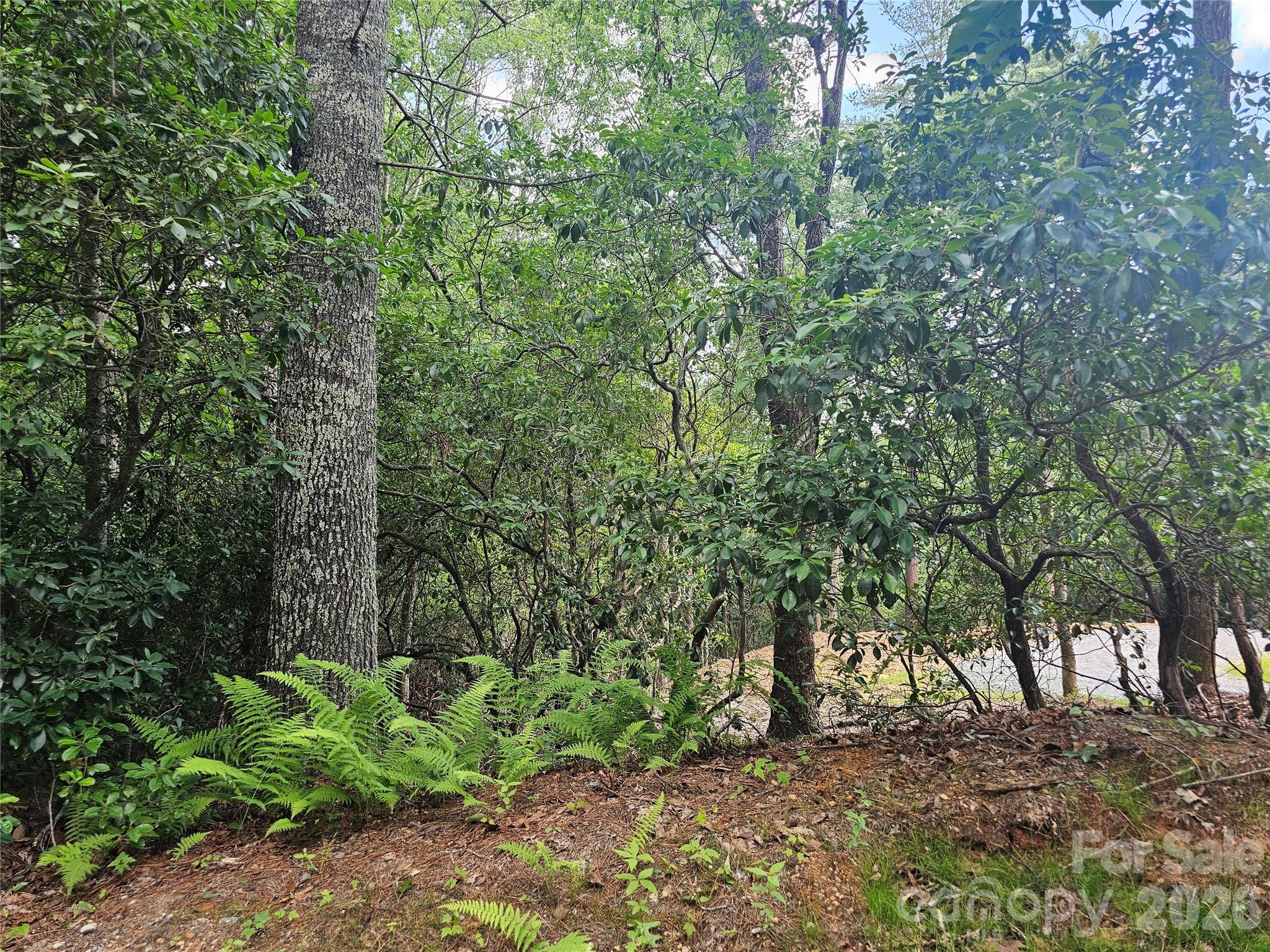 main property photo 29