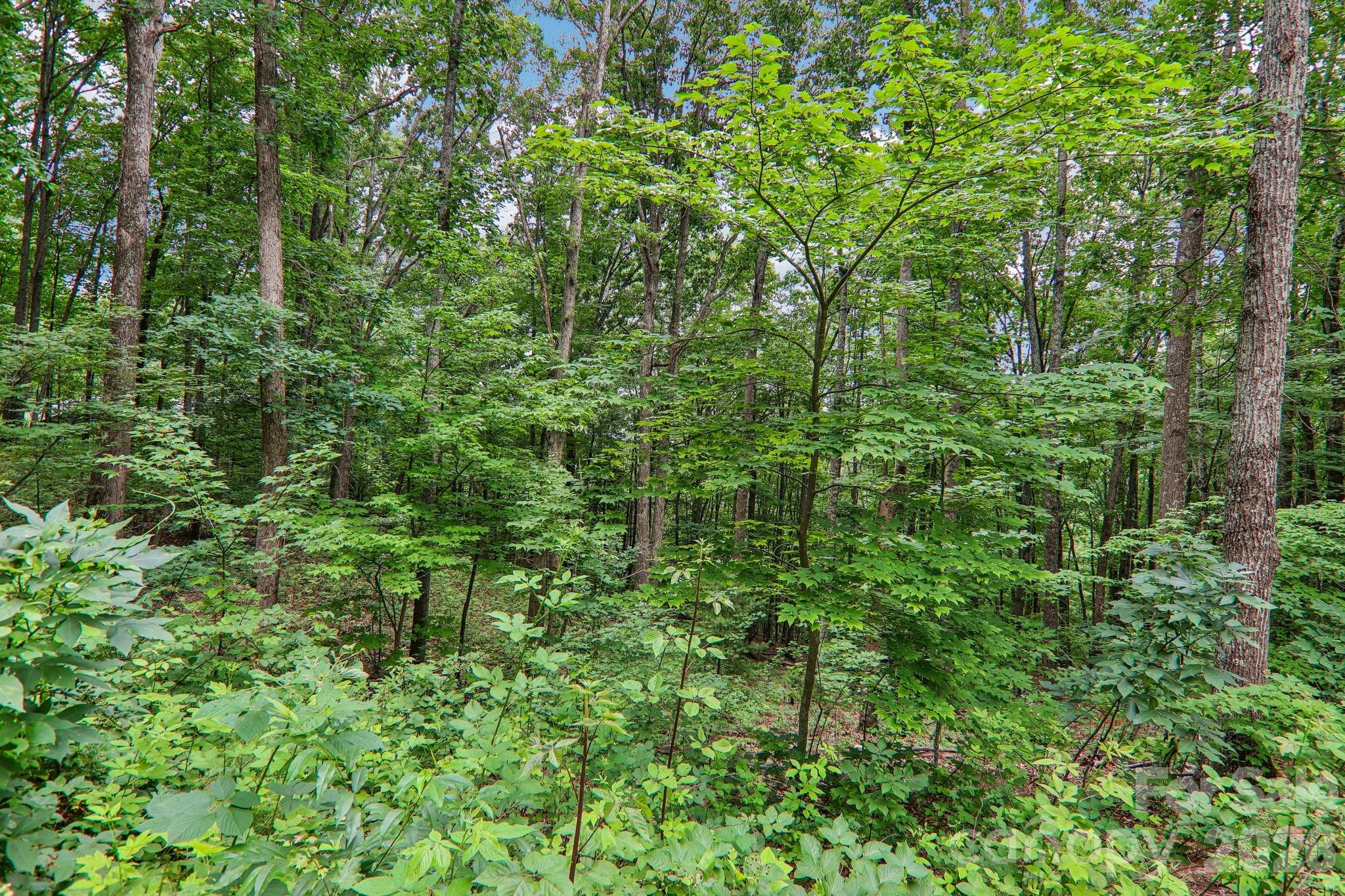 main property photo 40