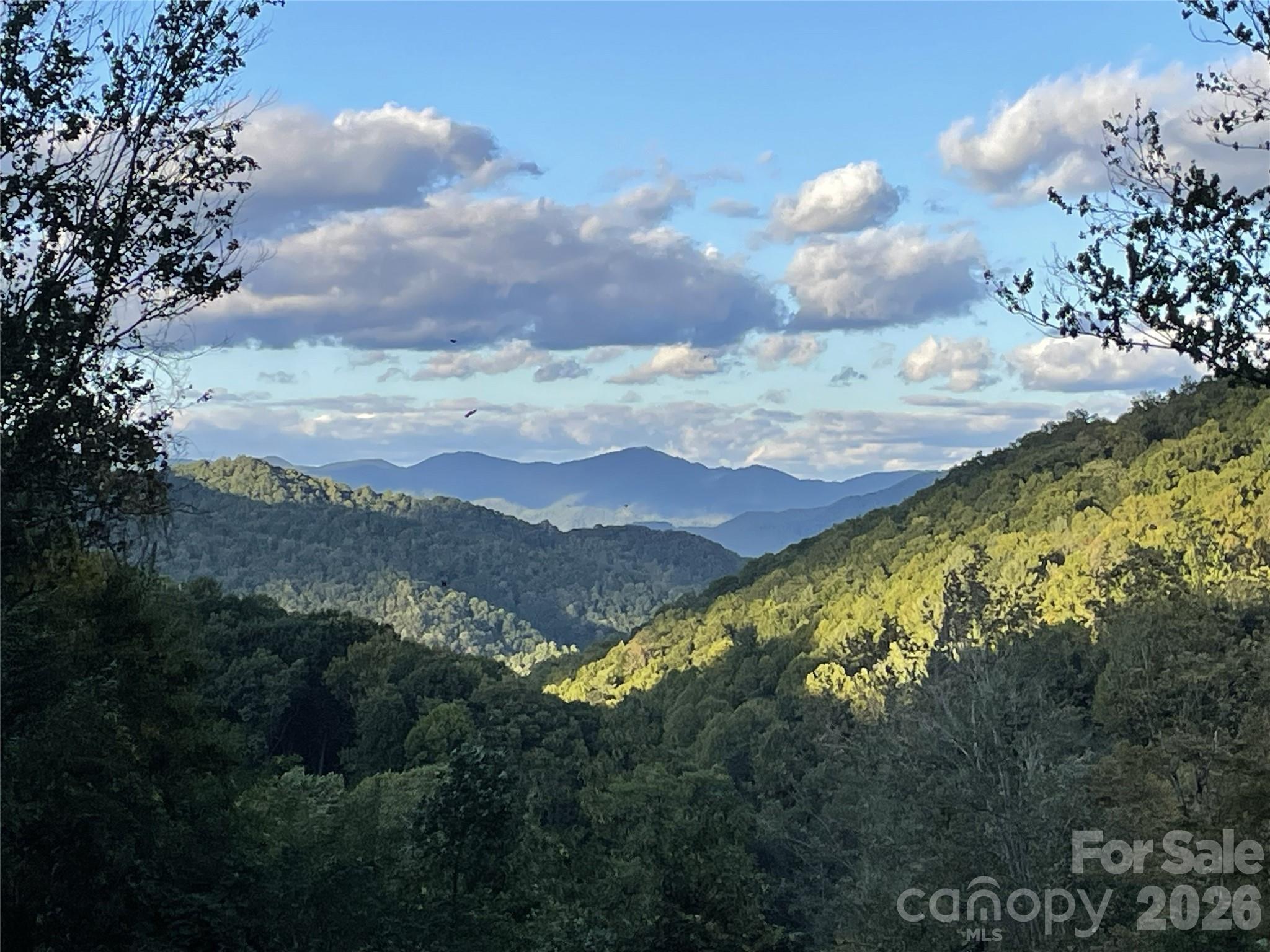 main property photo 41