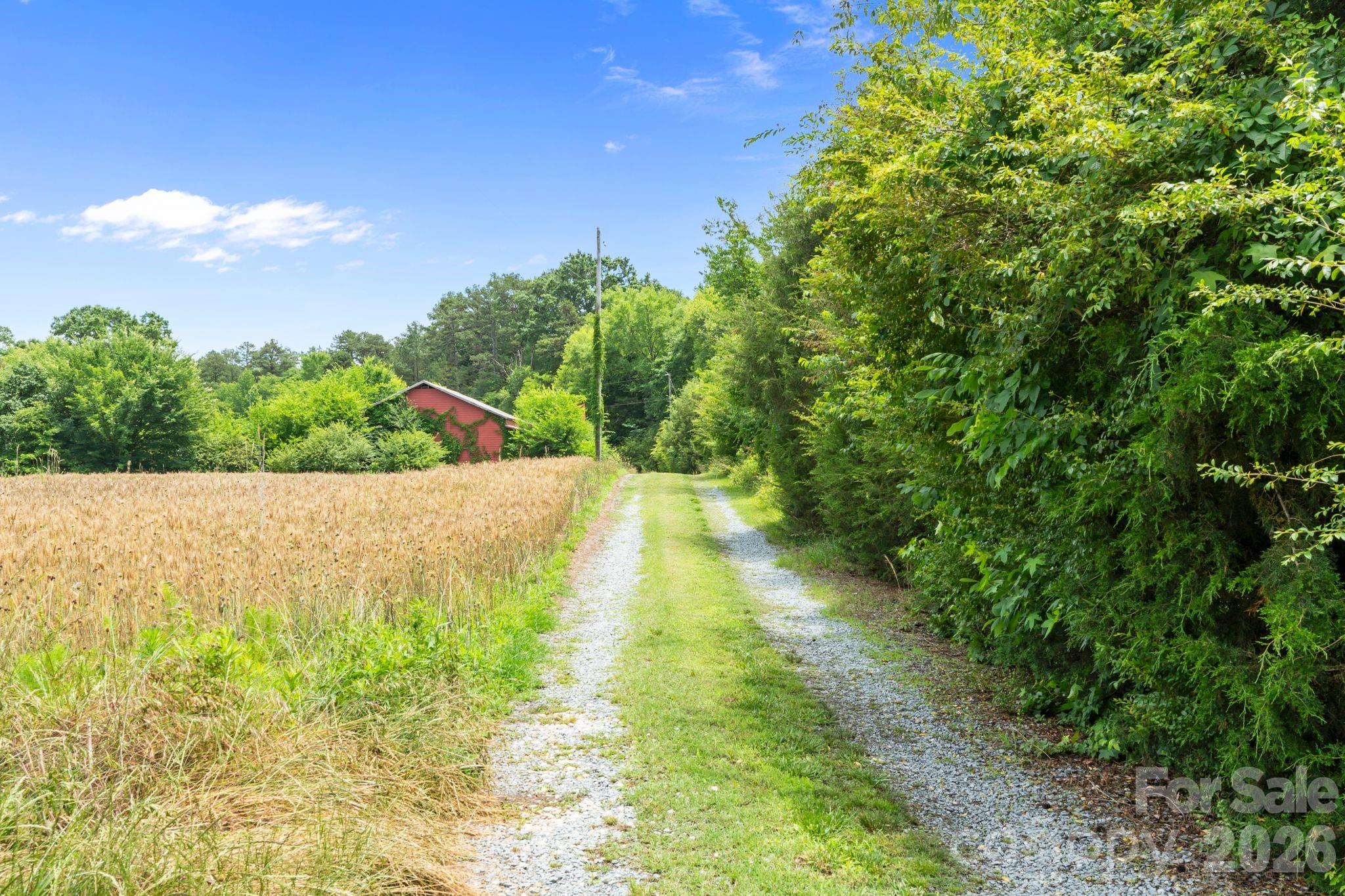 main property photo 33