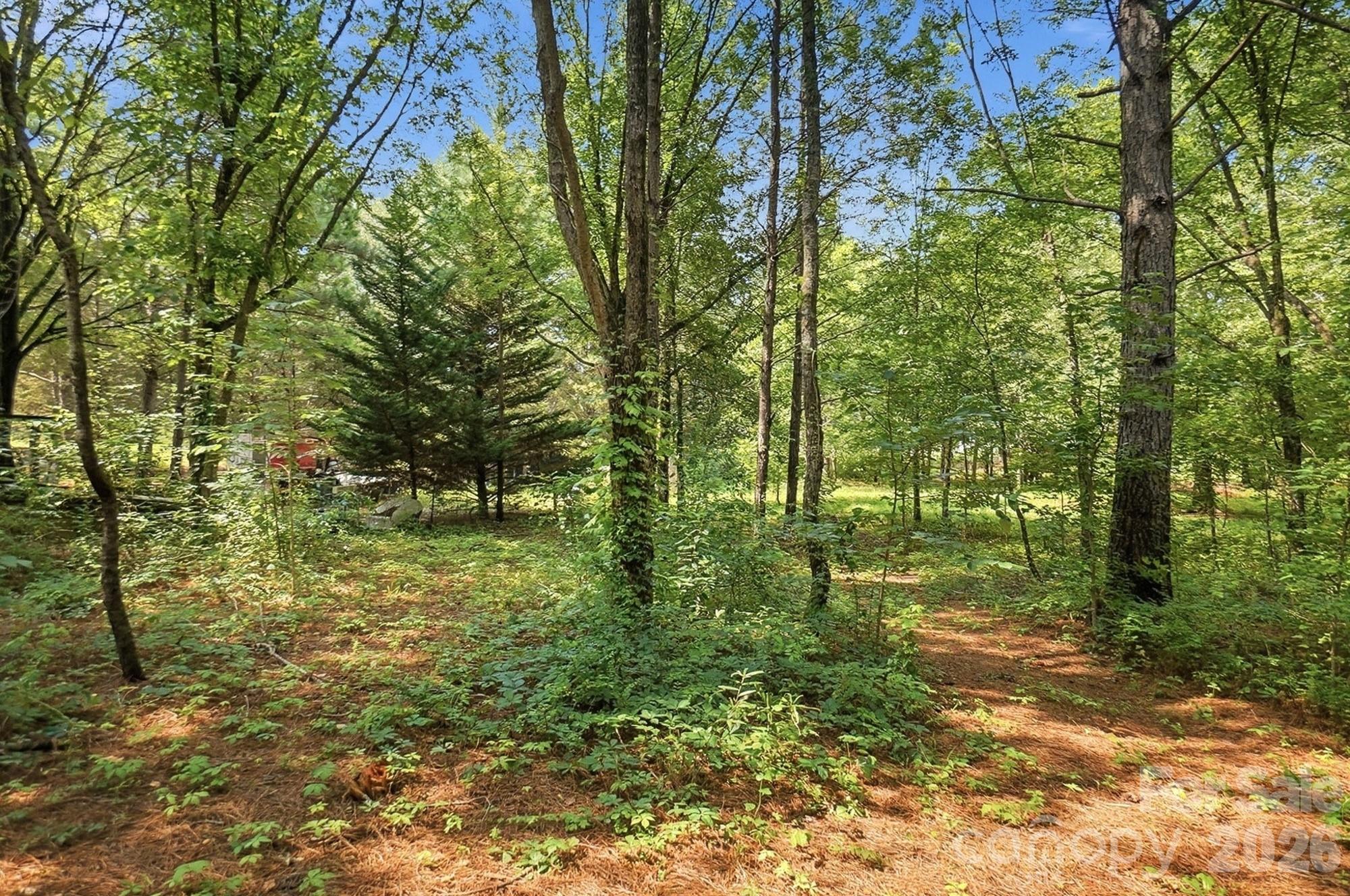 main property photo 42