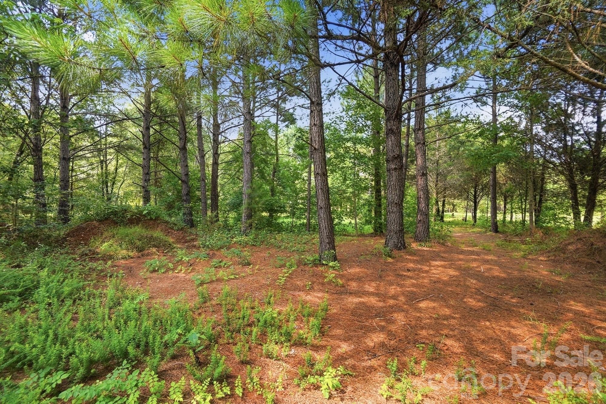 main property photo 43