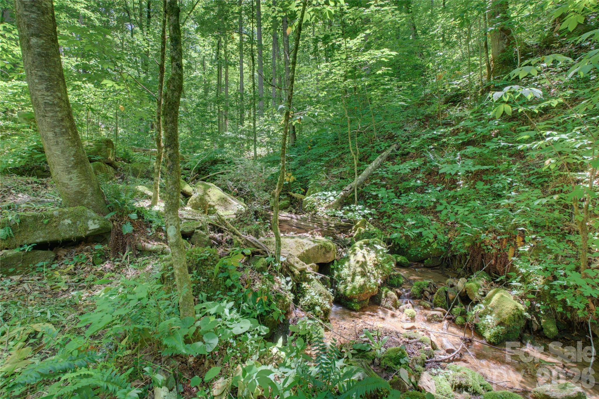 main property photo 25