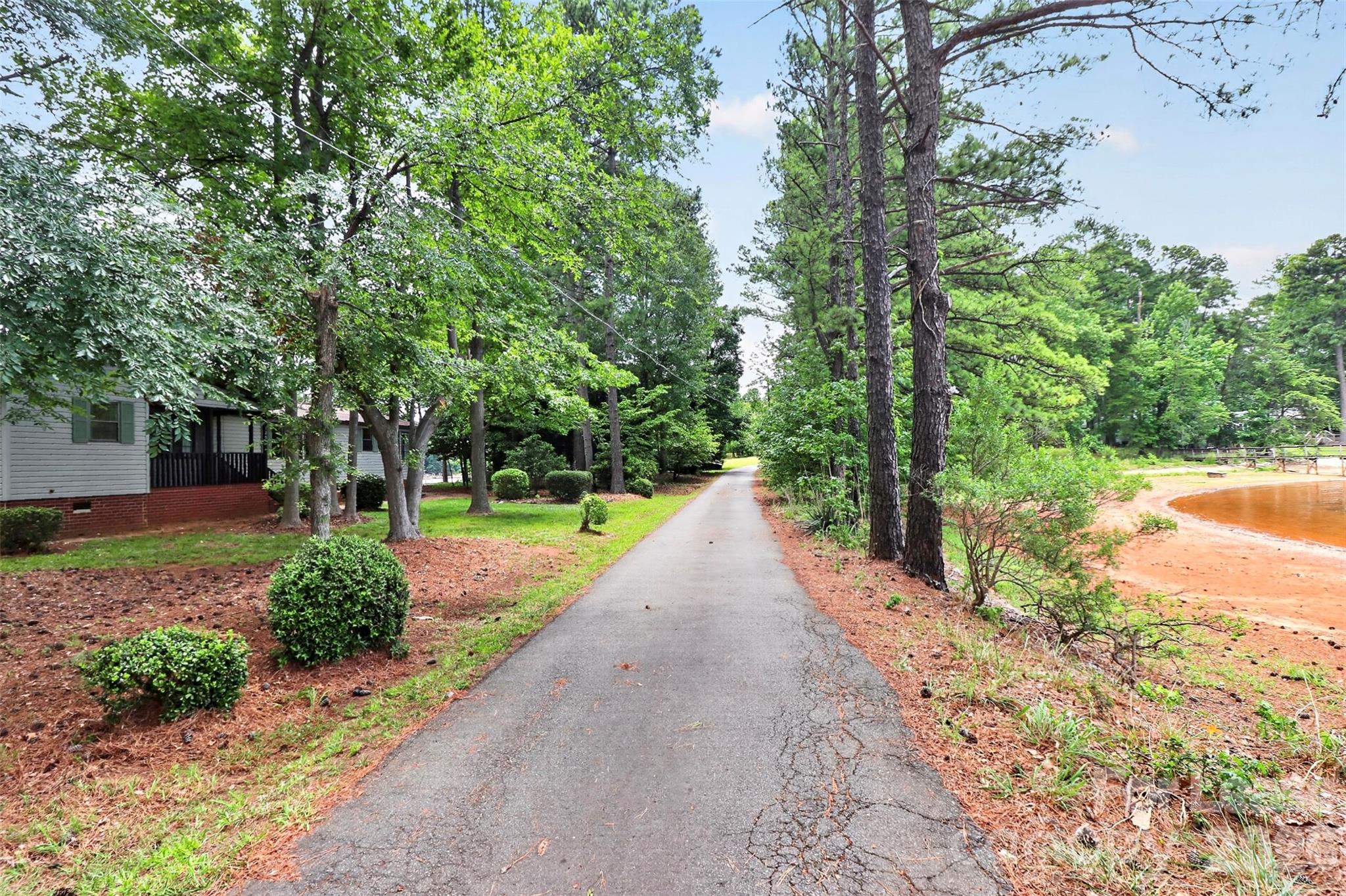 main property photo 42