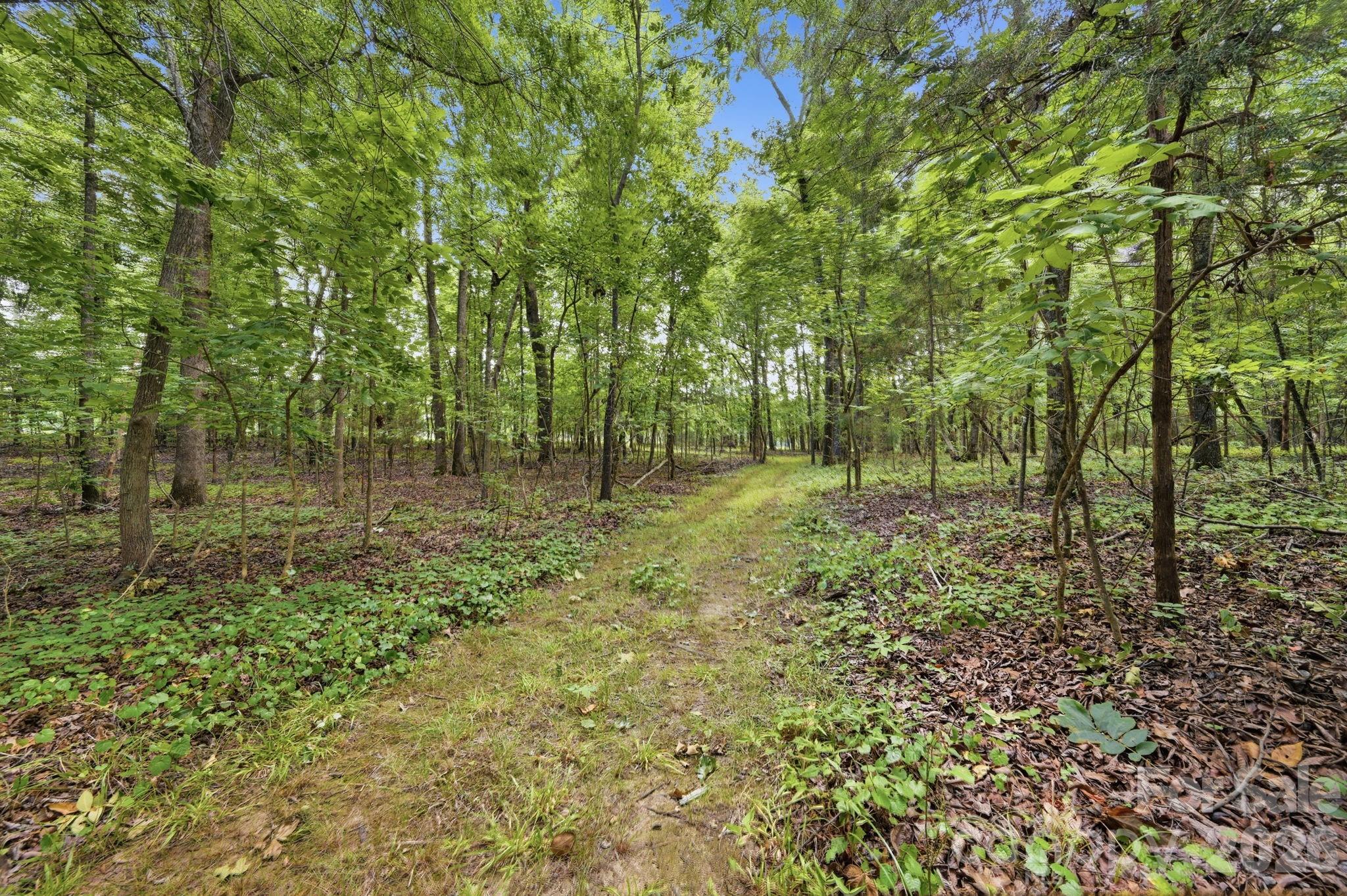main property photo 45