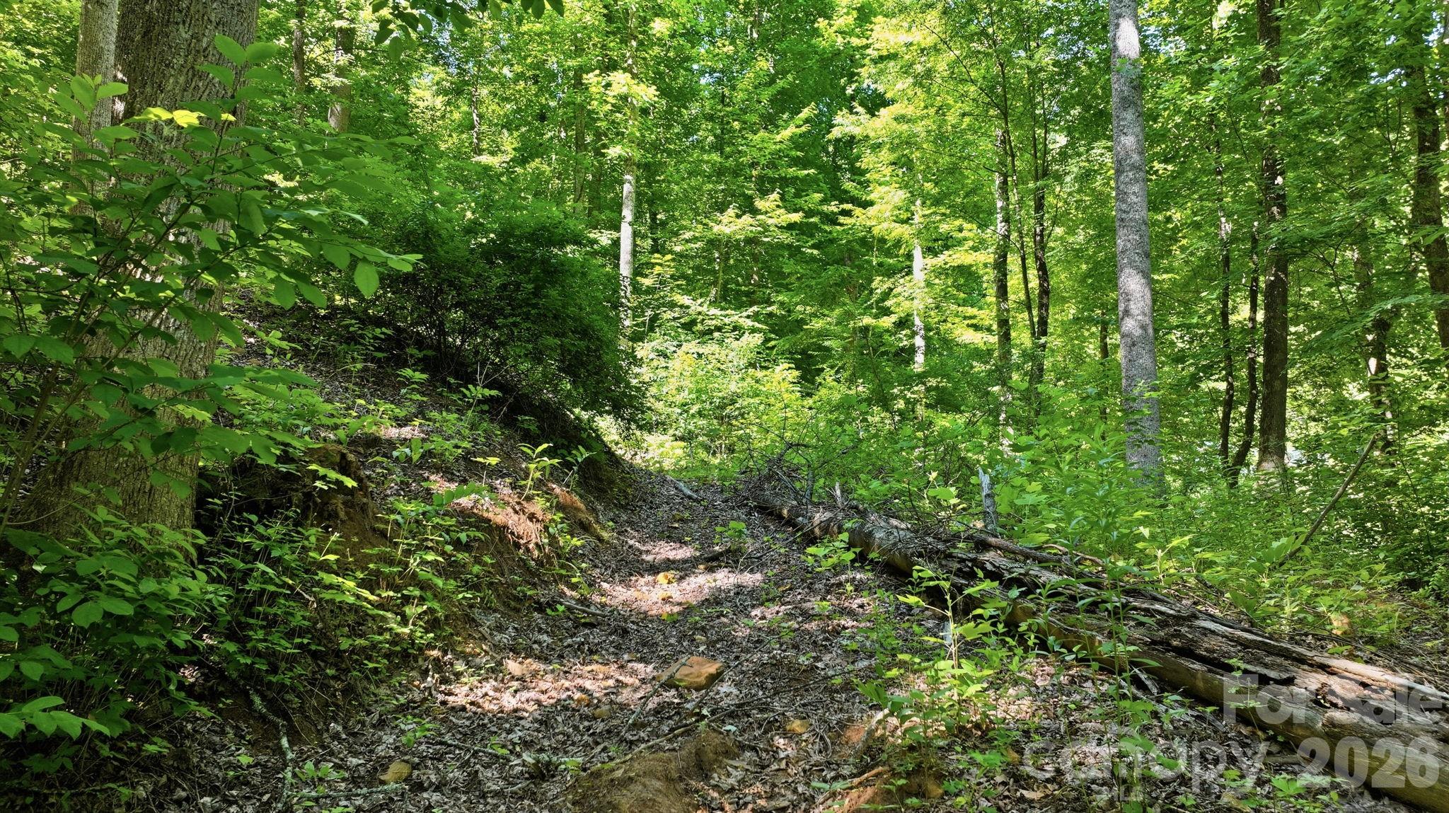 main property photo 10