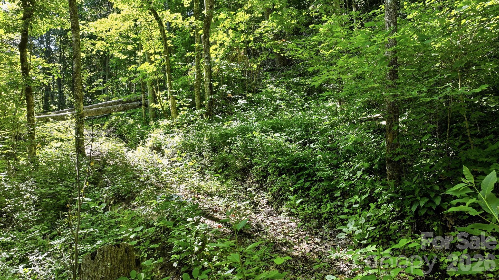main property photo 18