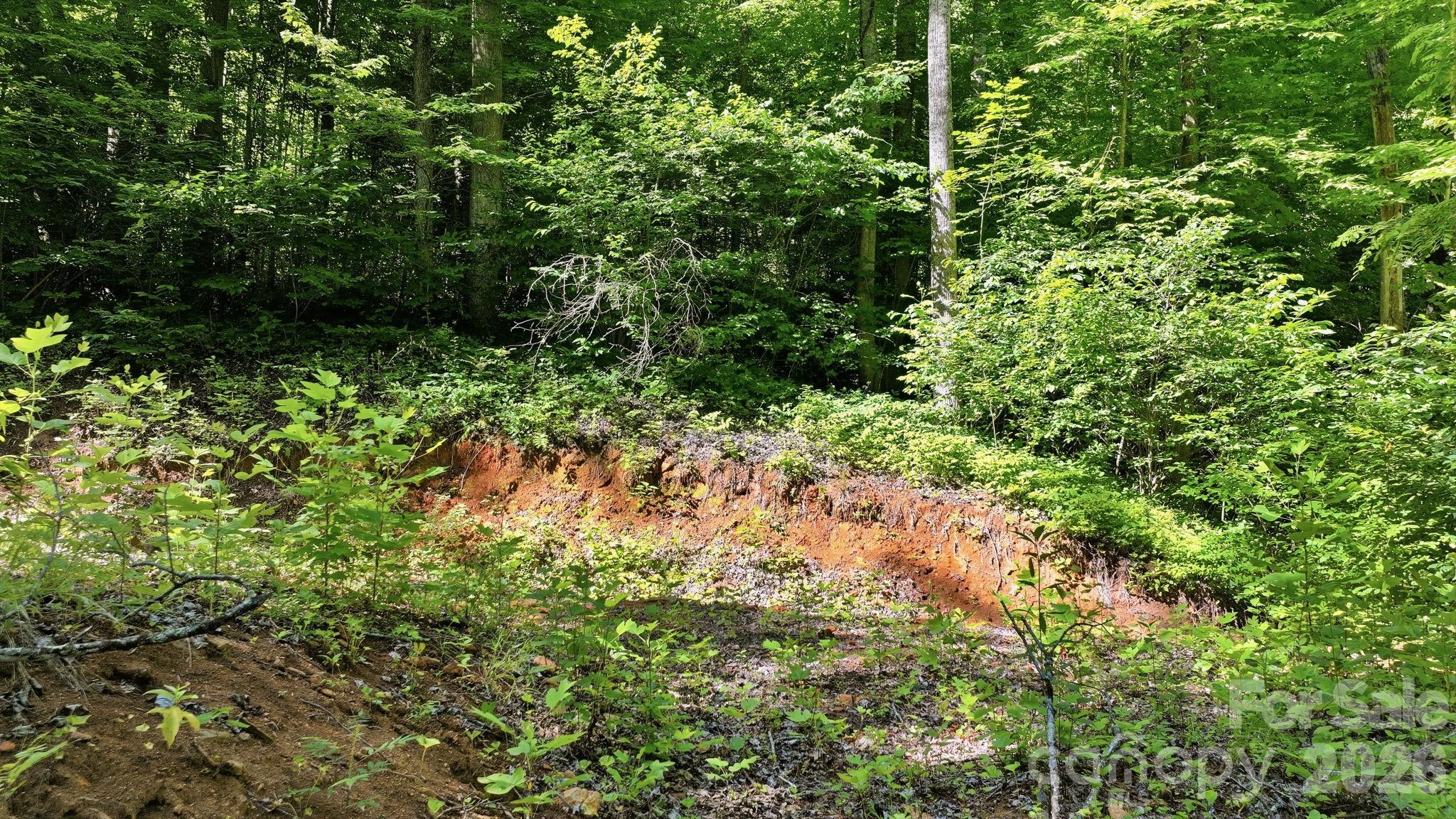 main property photo 24