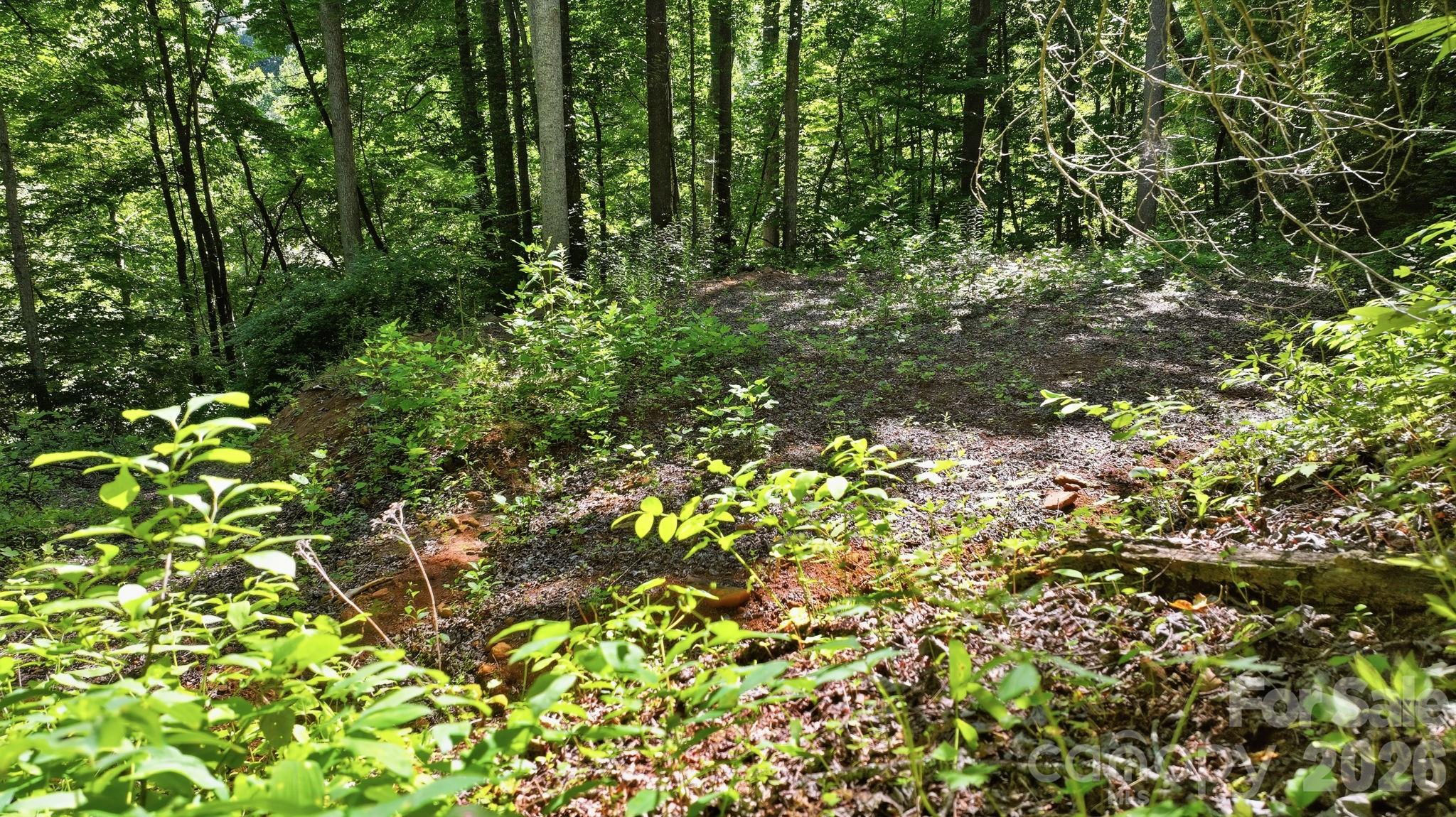 main property photo 25