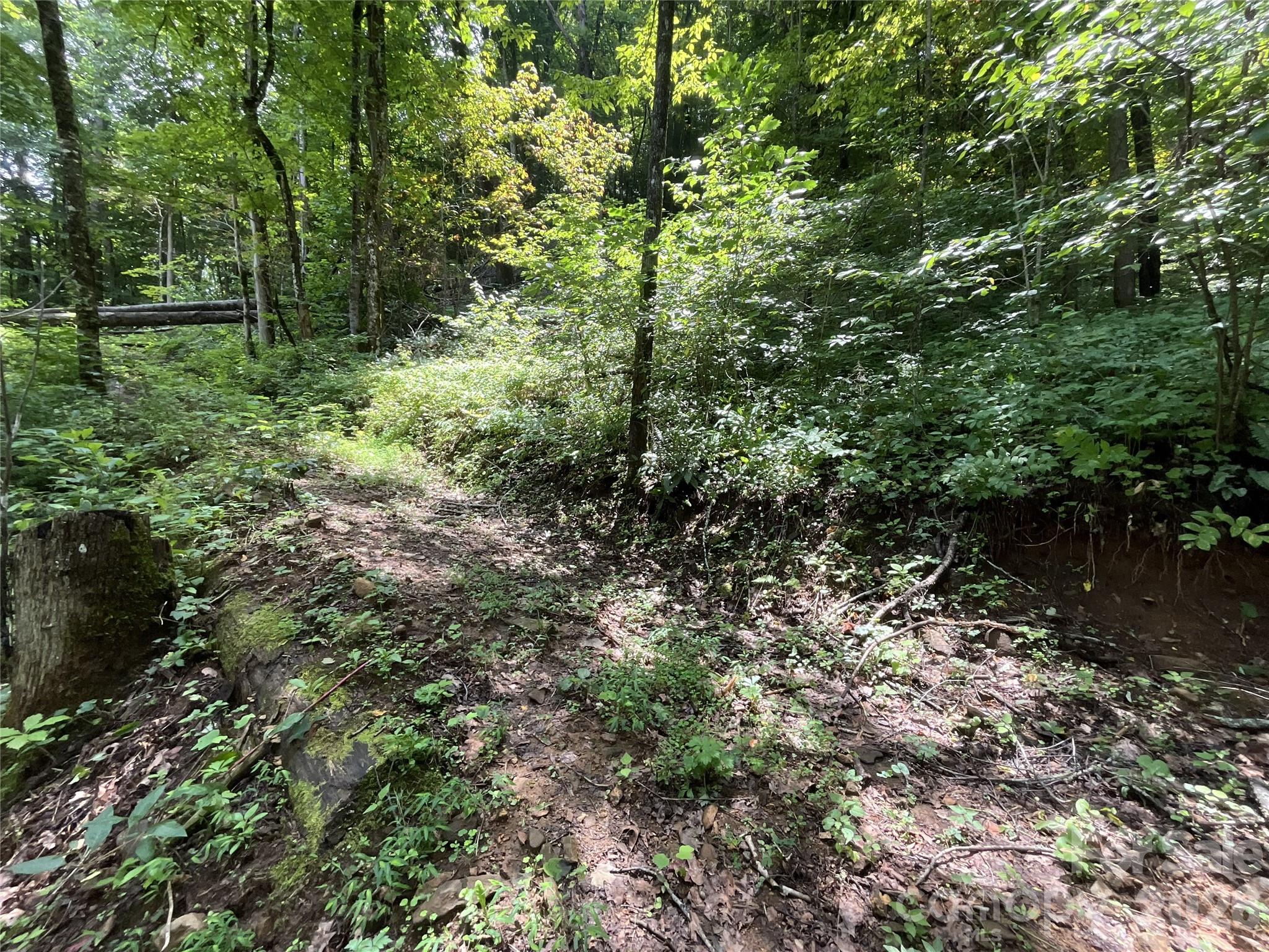 main property photo 34