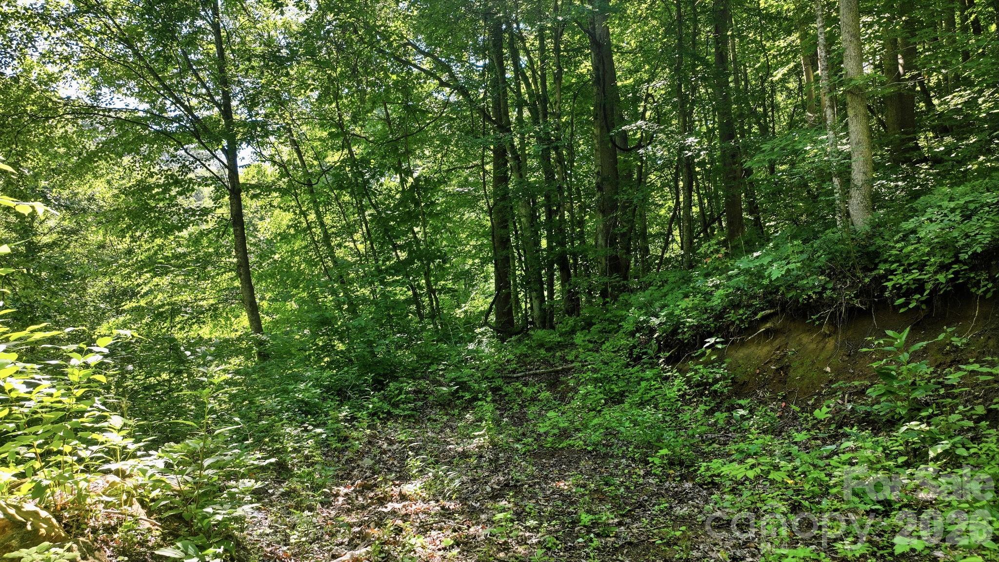 main property photo 6