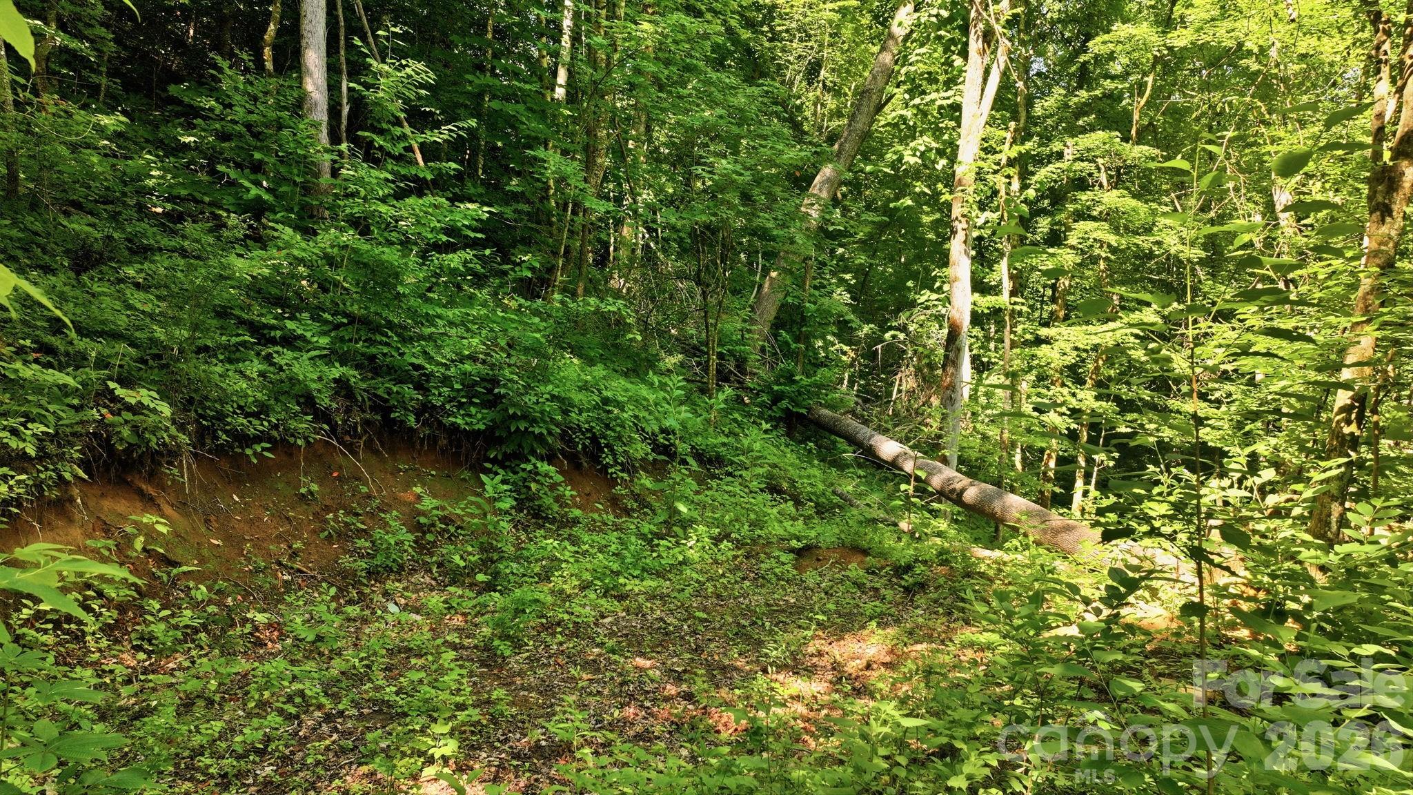 main property photo 7