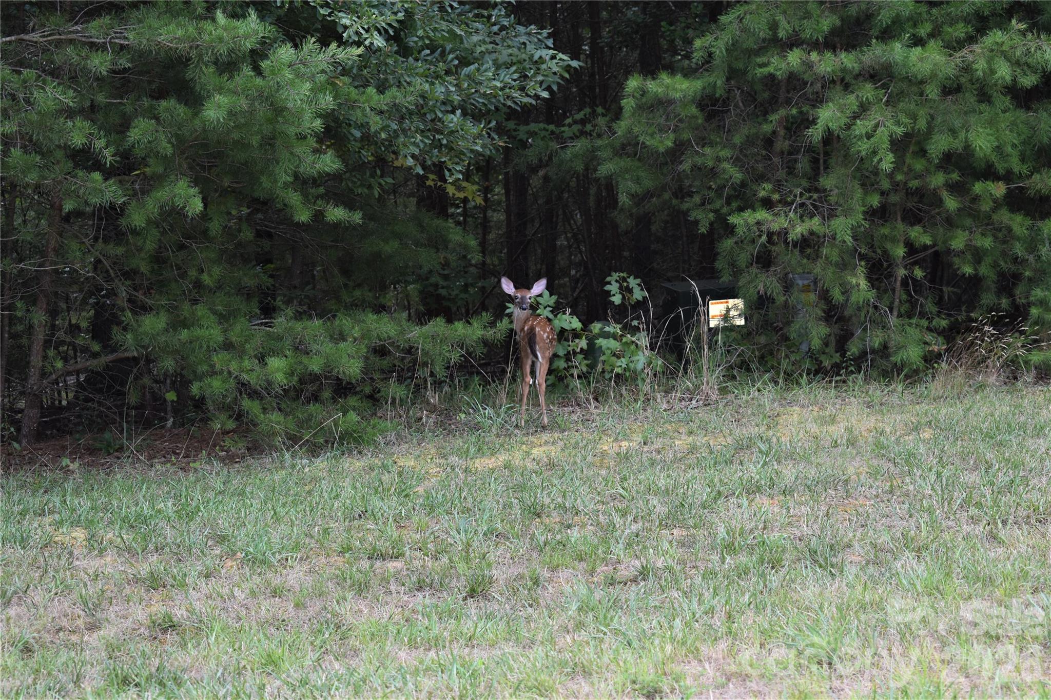 main property photo 21