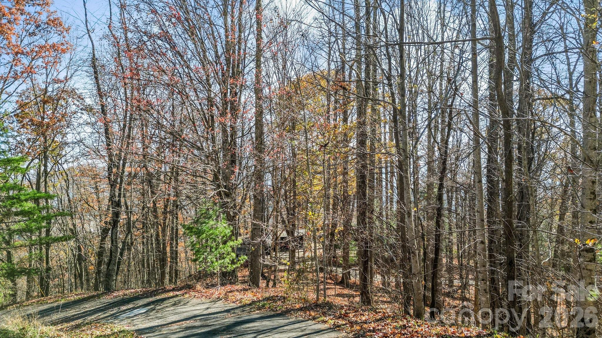 main property photo 11