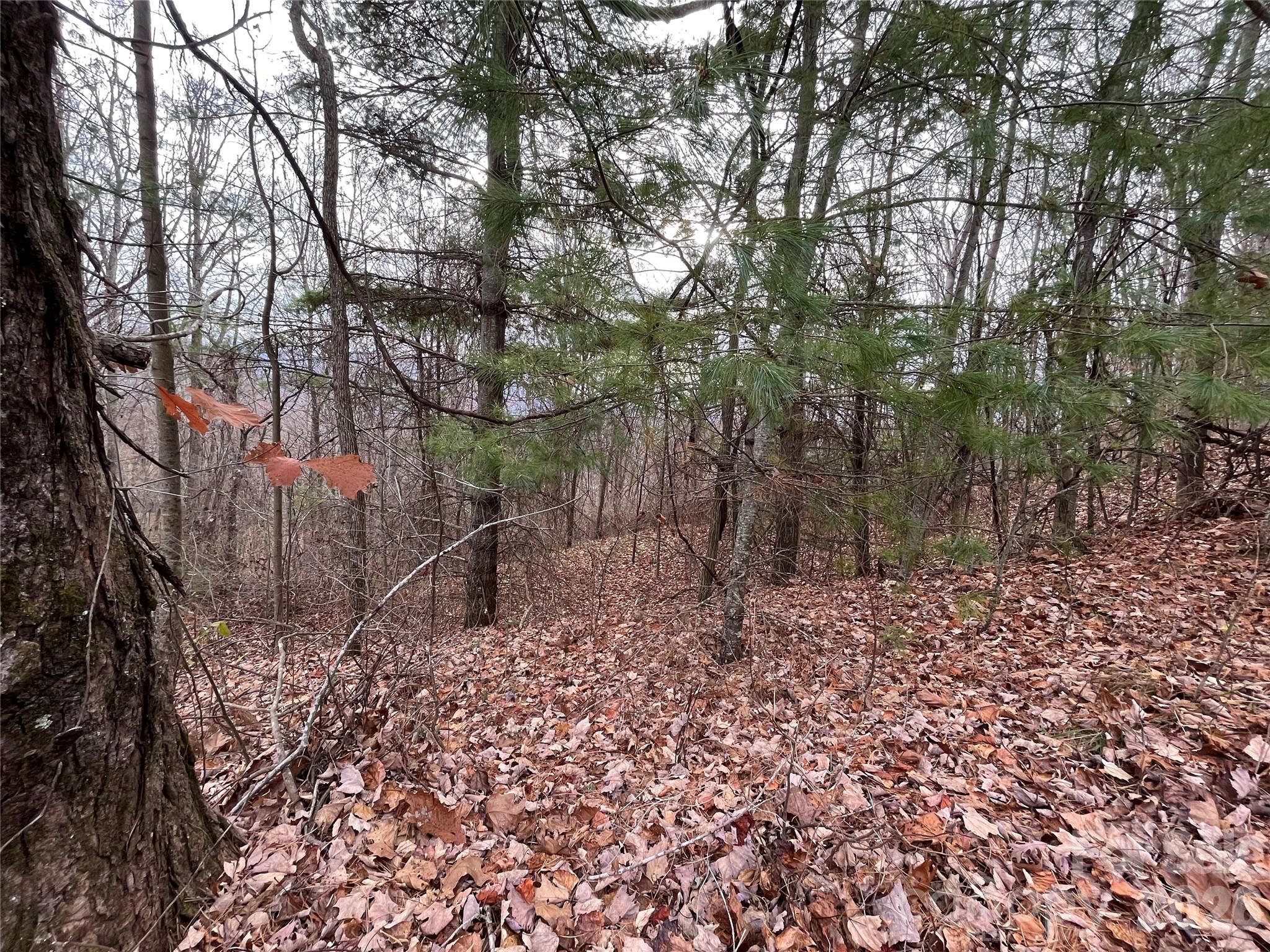 main property photo 18