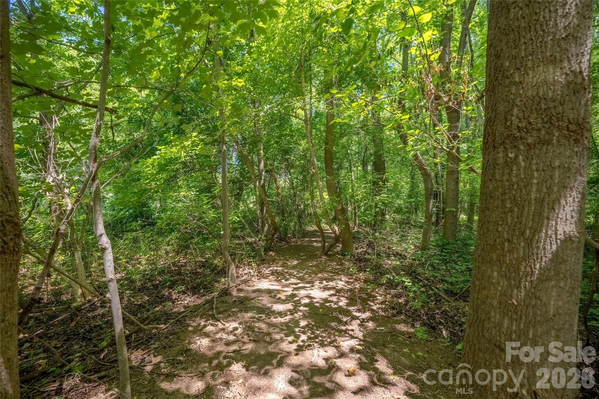main property photo 47
