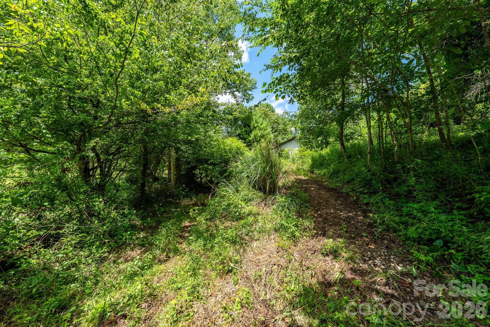 main property photo 14