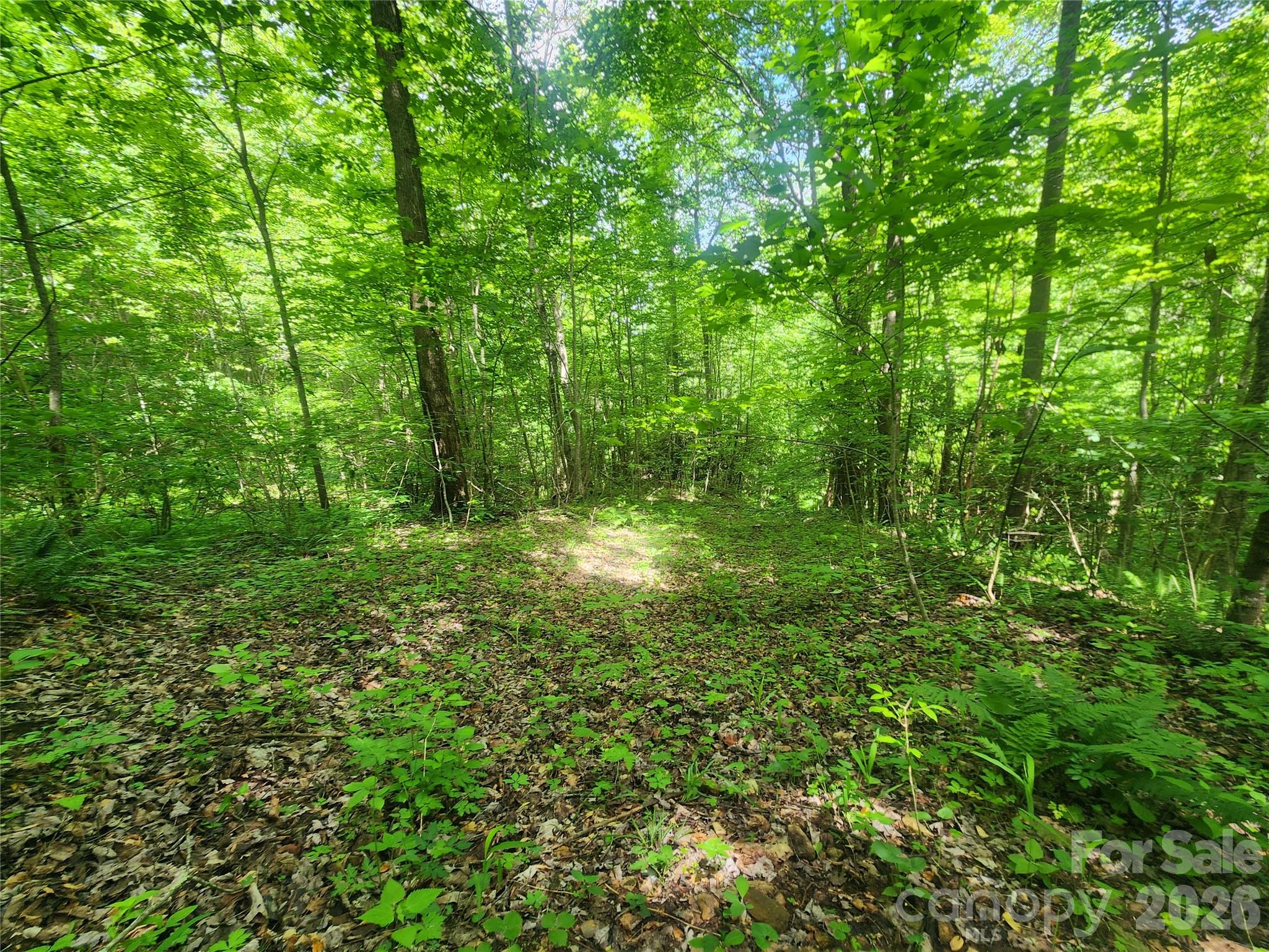 main property photo 30