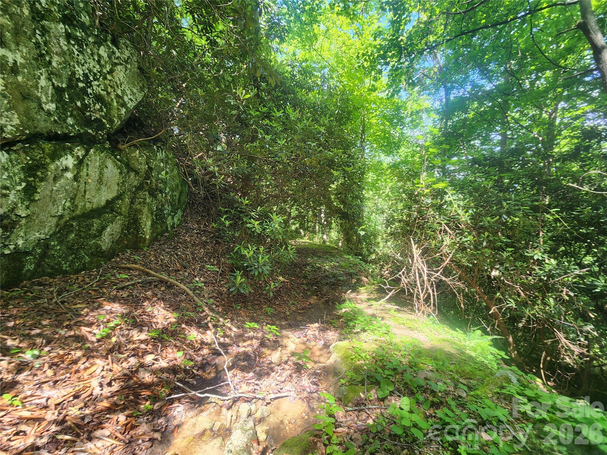 main property photo 34