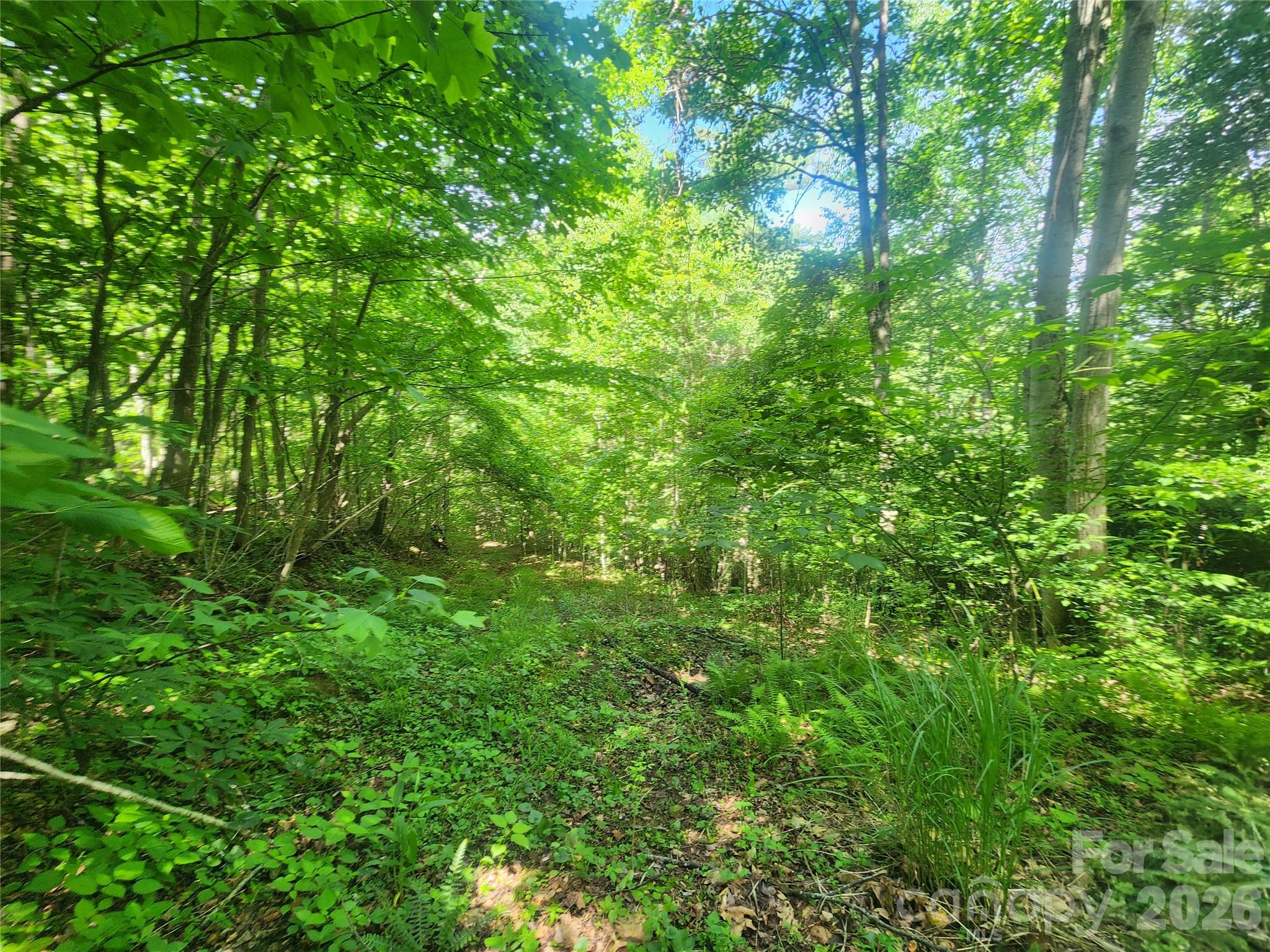 main property photo 36