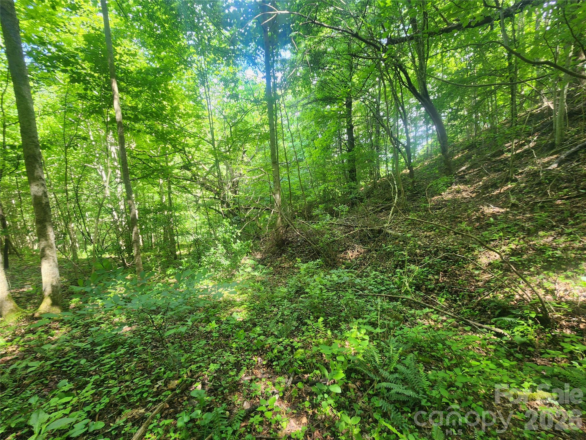 main property photo 37