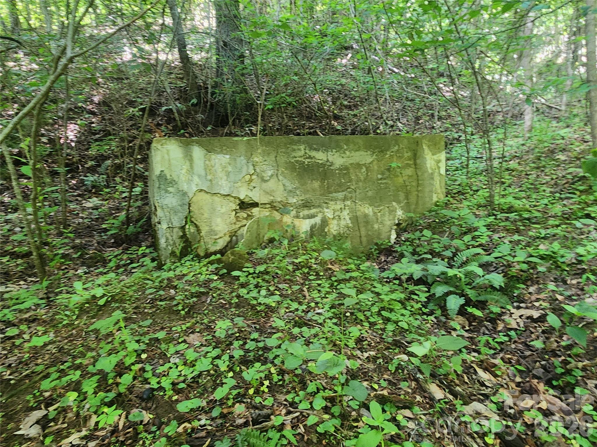 main property photo 40