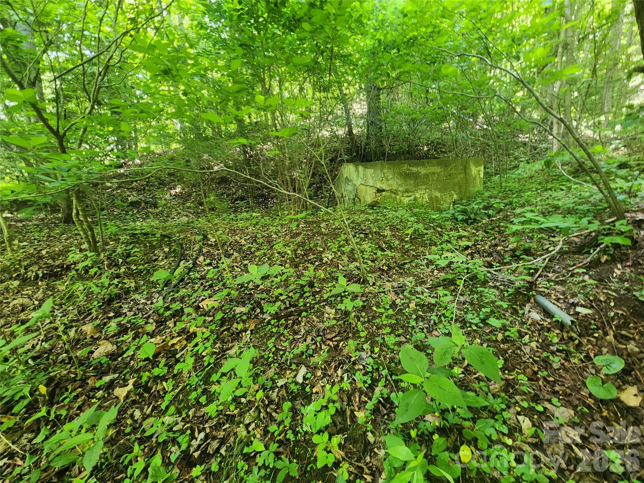 main property photo 41