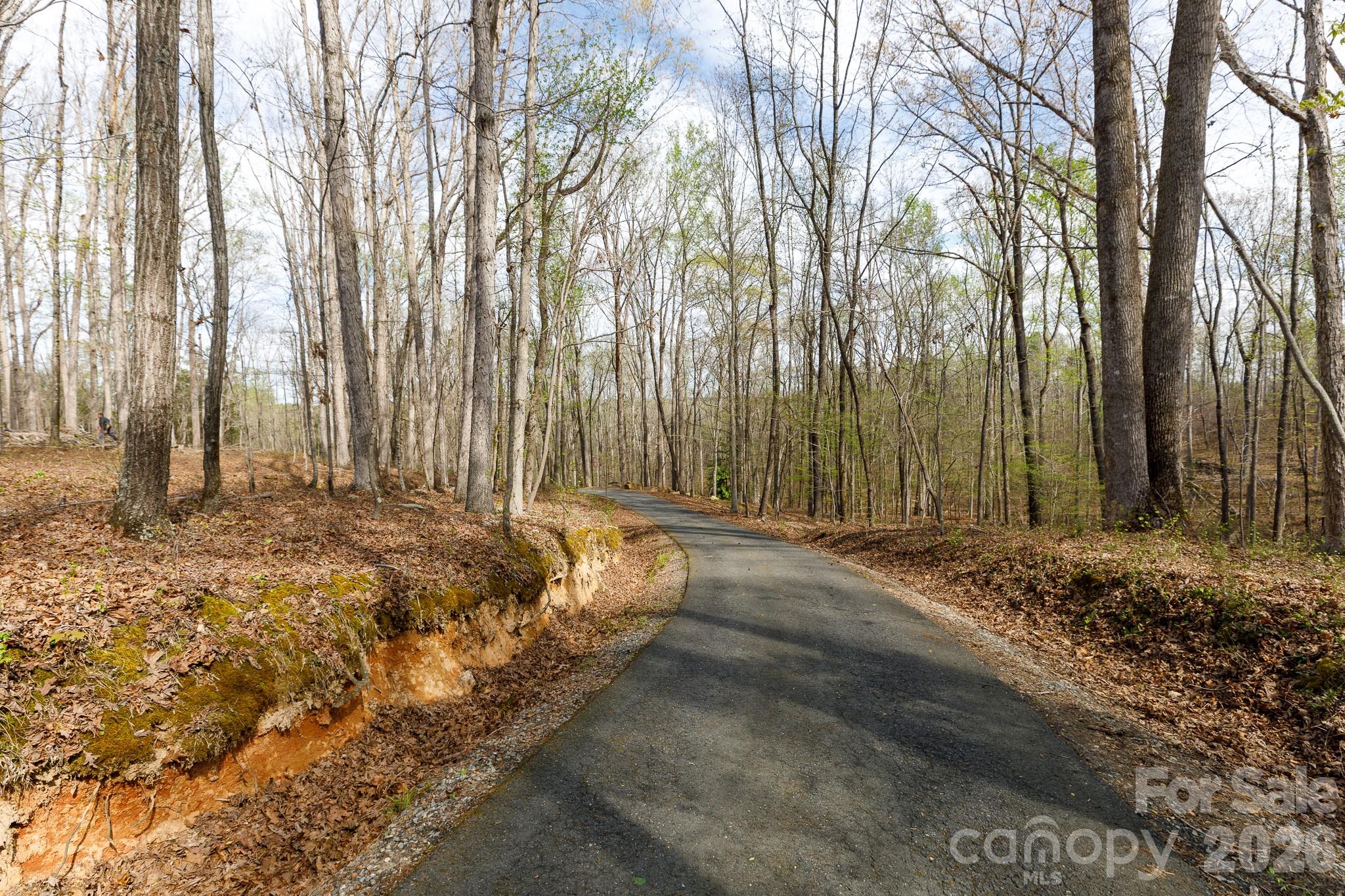 main property photo 42