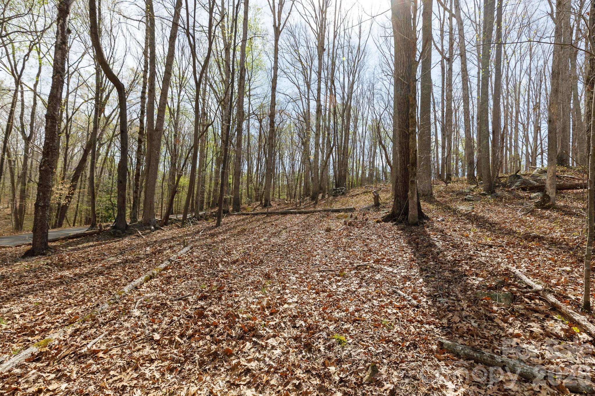 main property photo 45