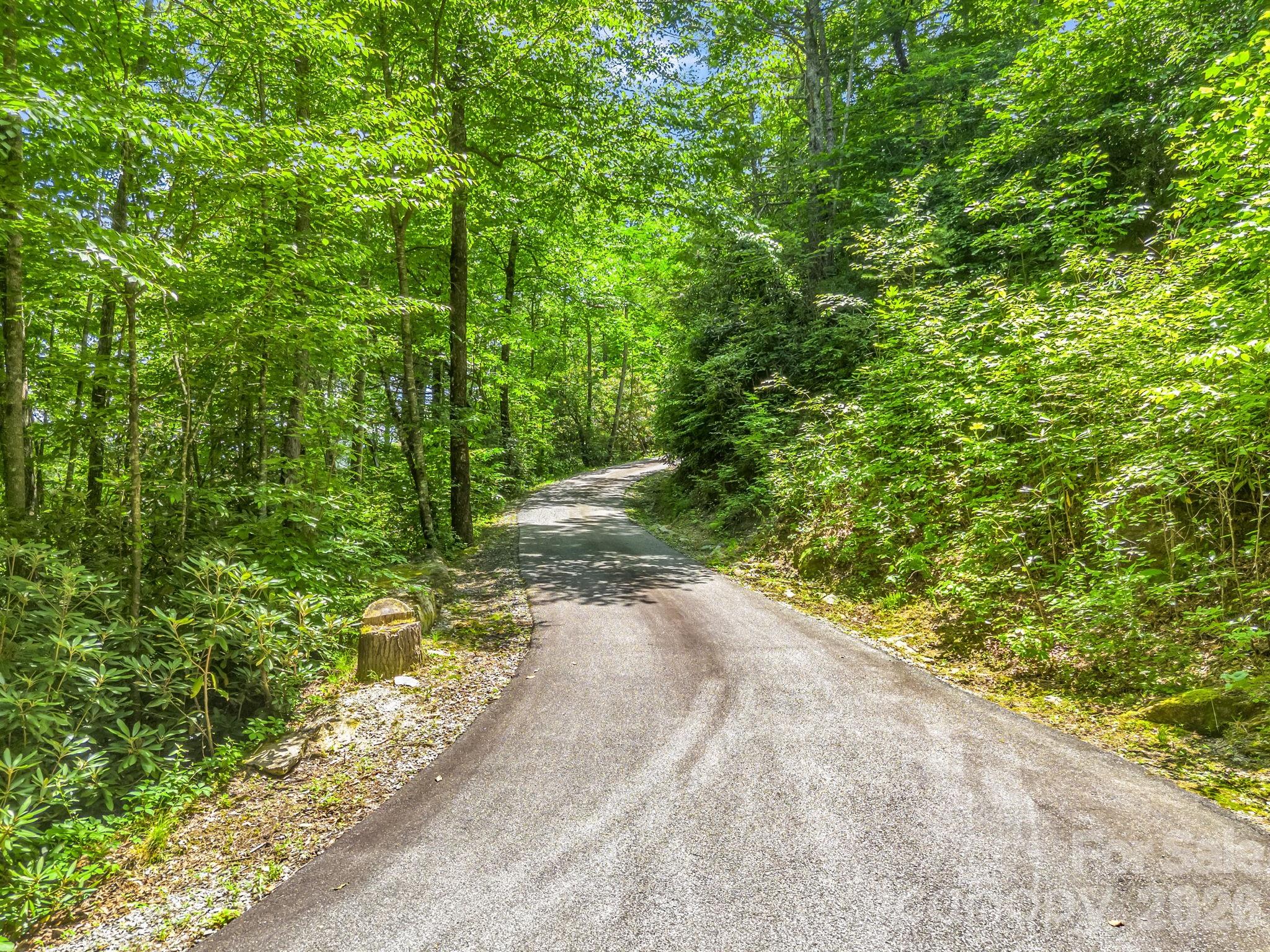 main property photo 42