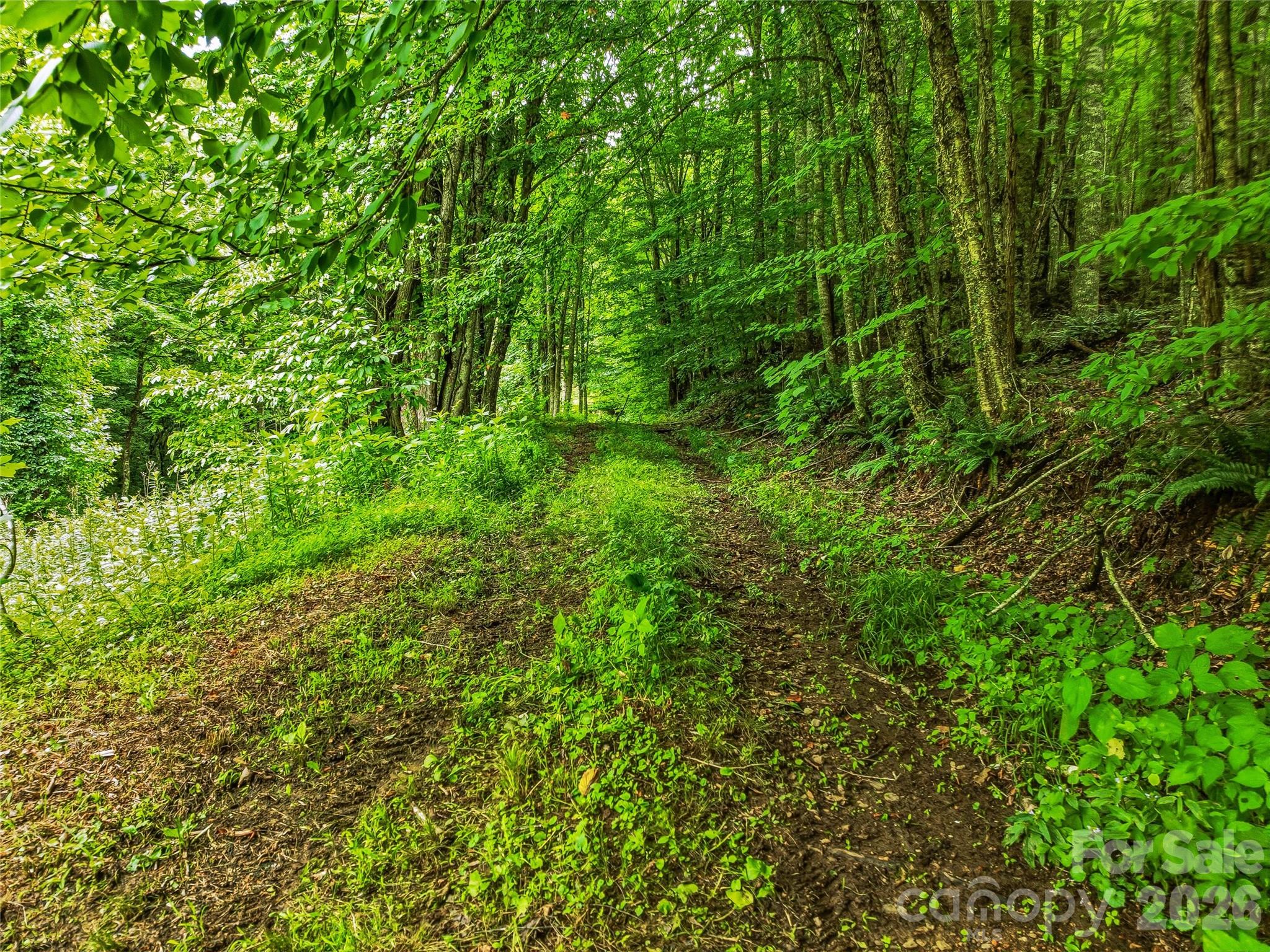 main property photo 34