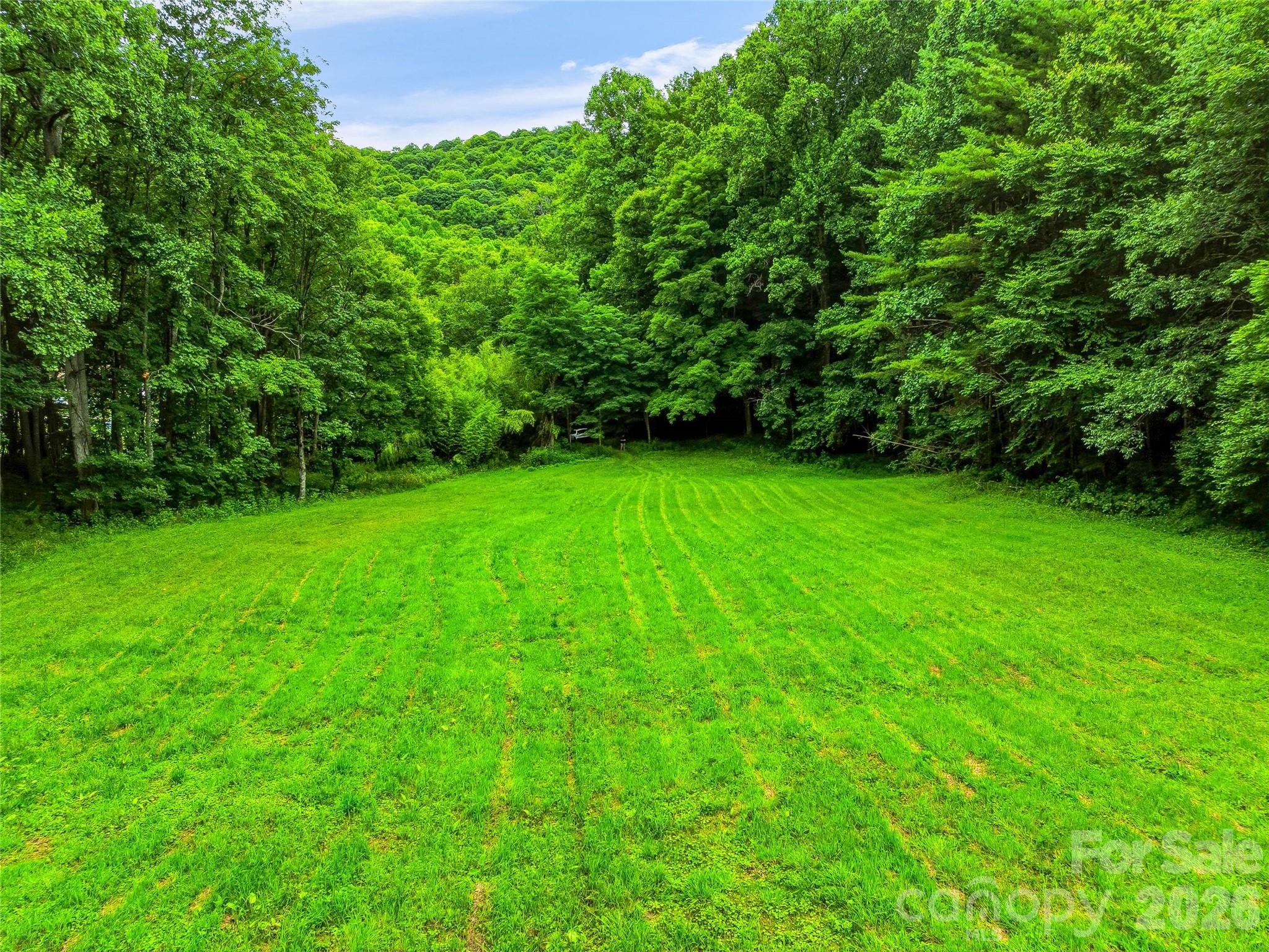 main property photo 41