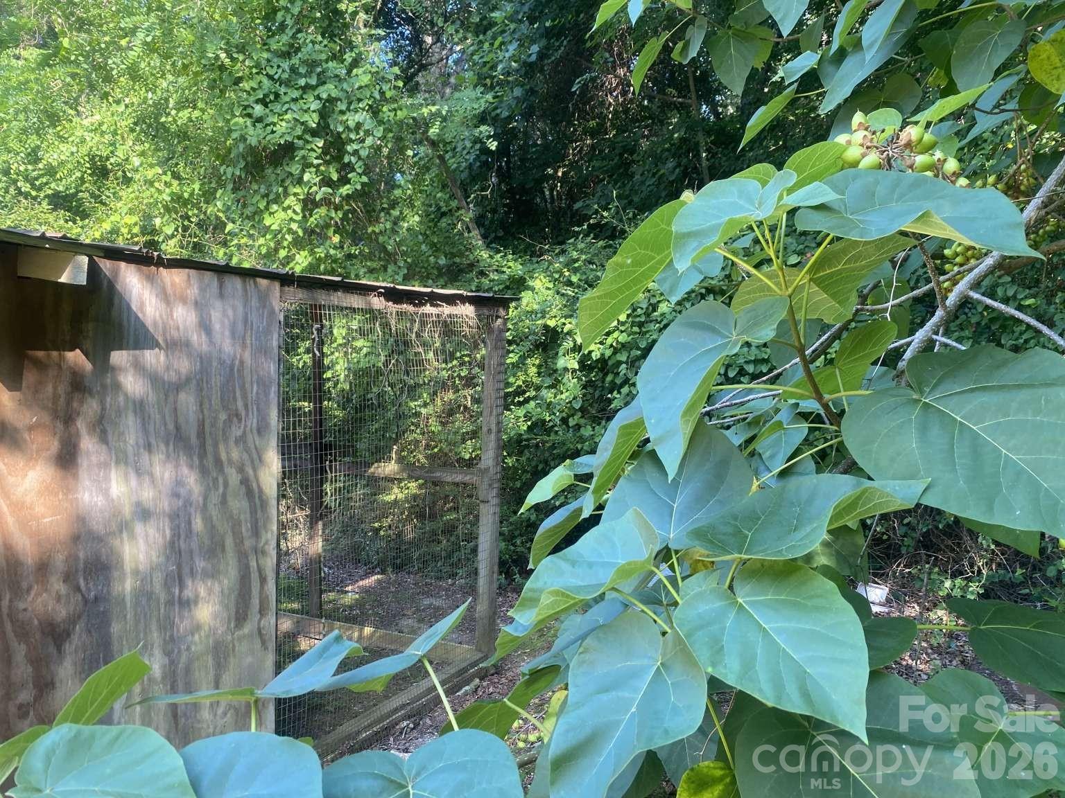 main property photo 23