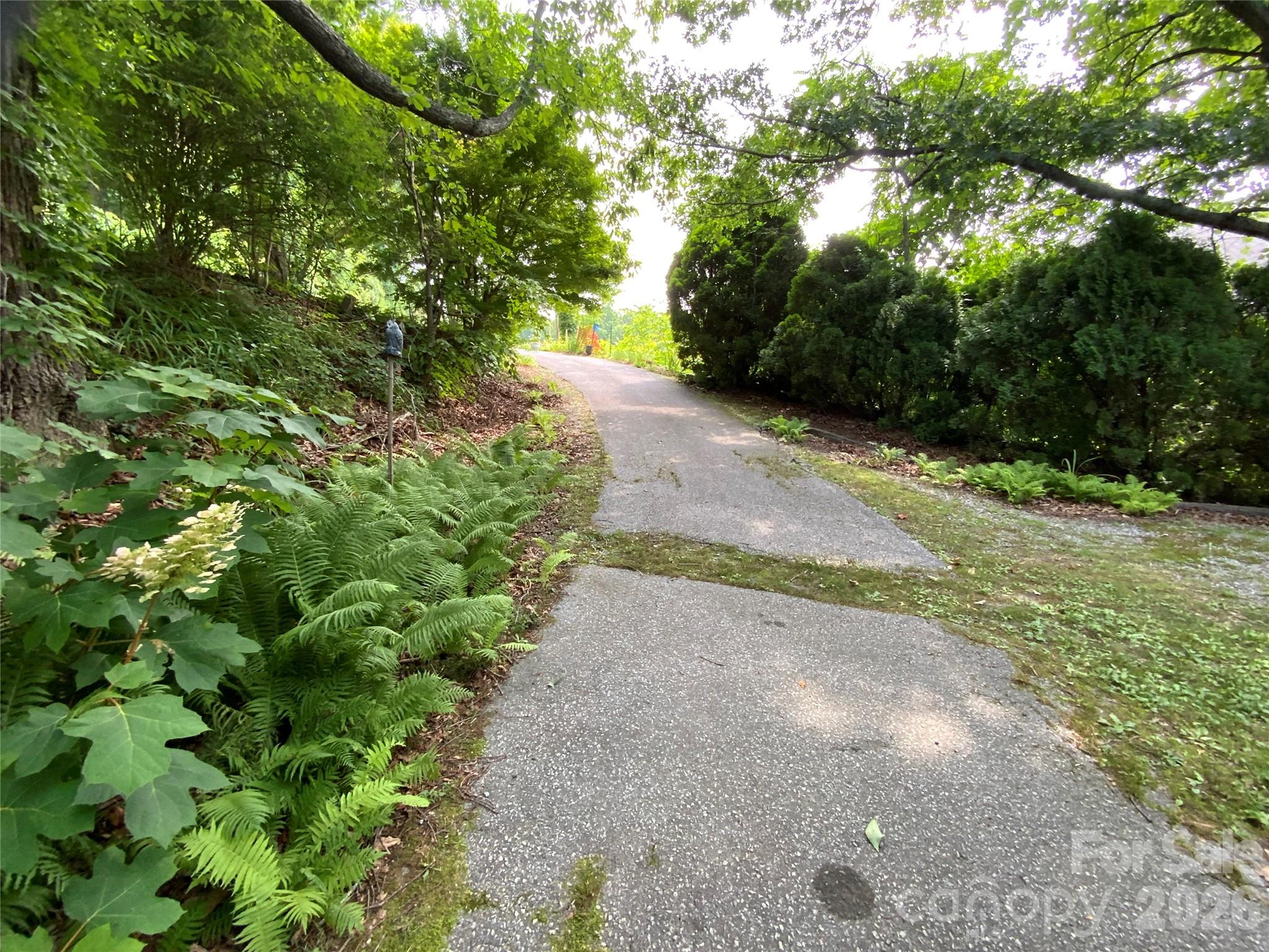 main property photo 13