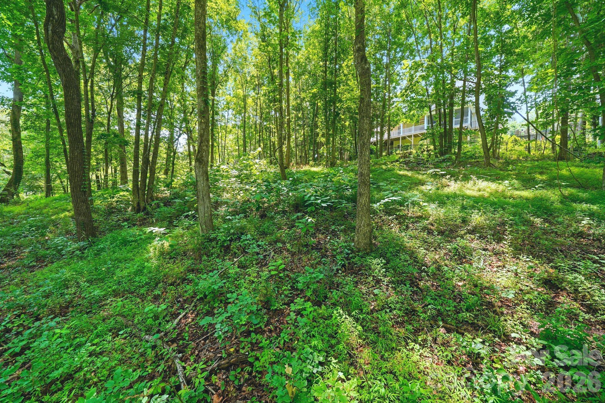 main property photo 41