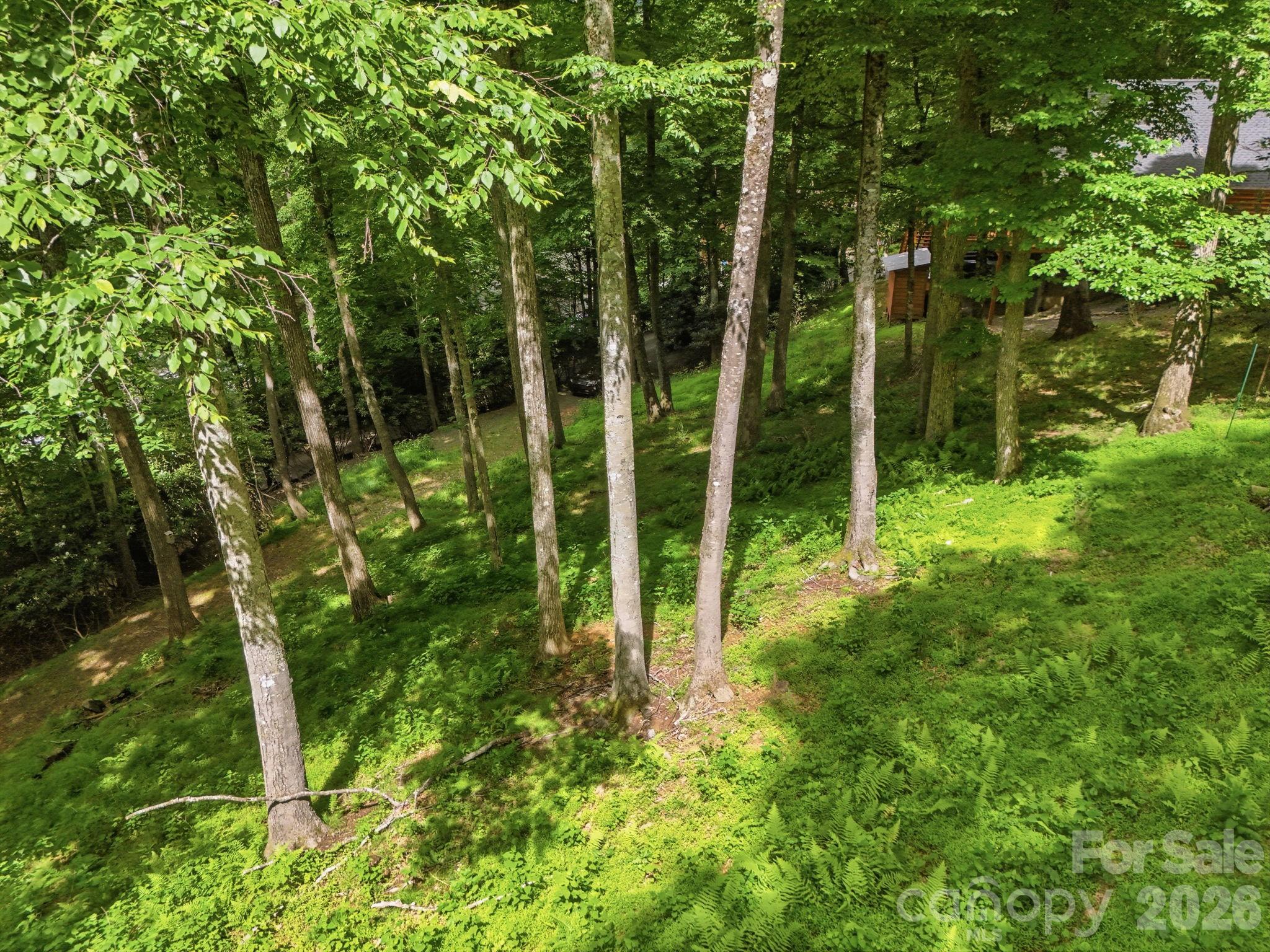 main property photo 33