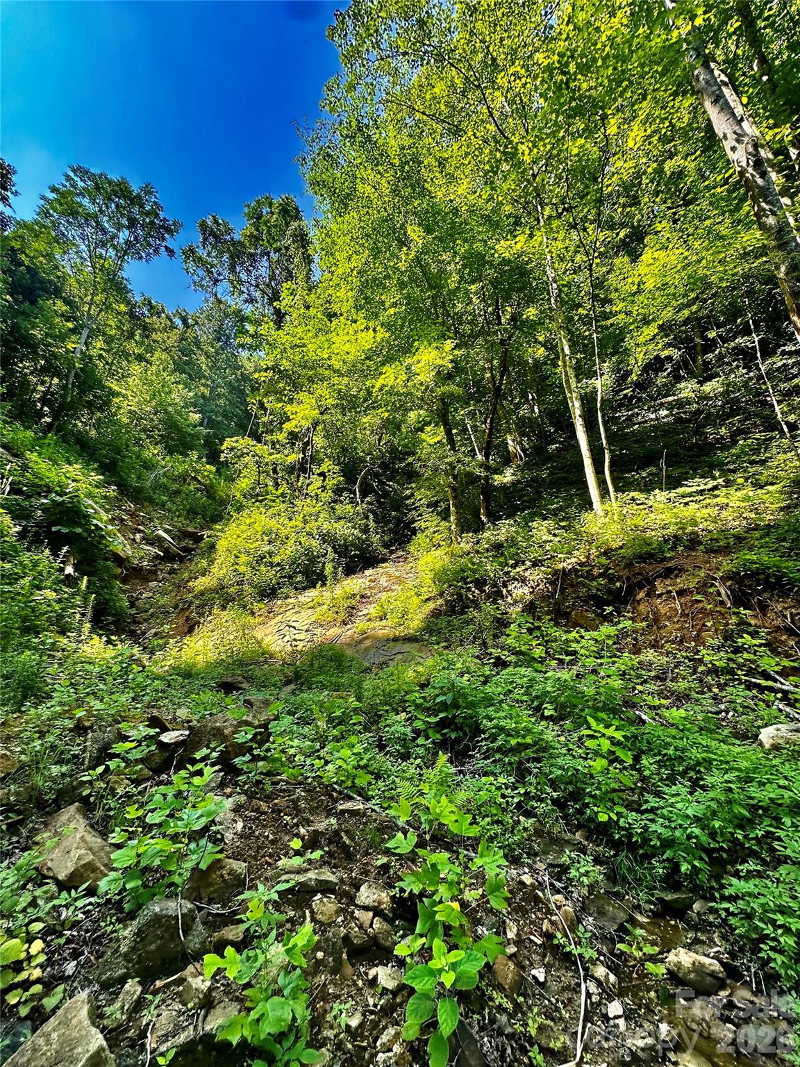 main property photo 11