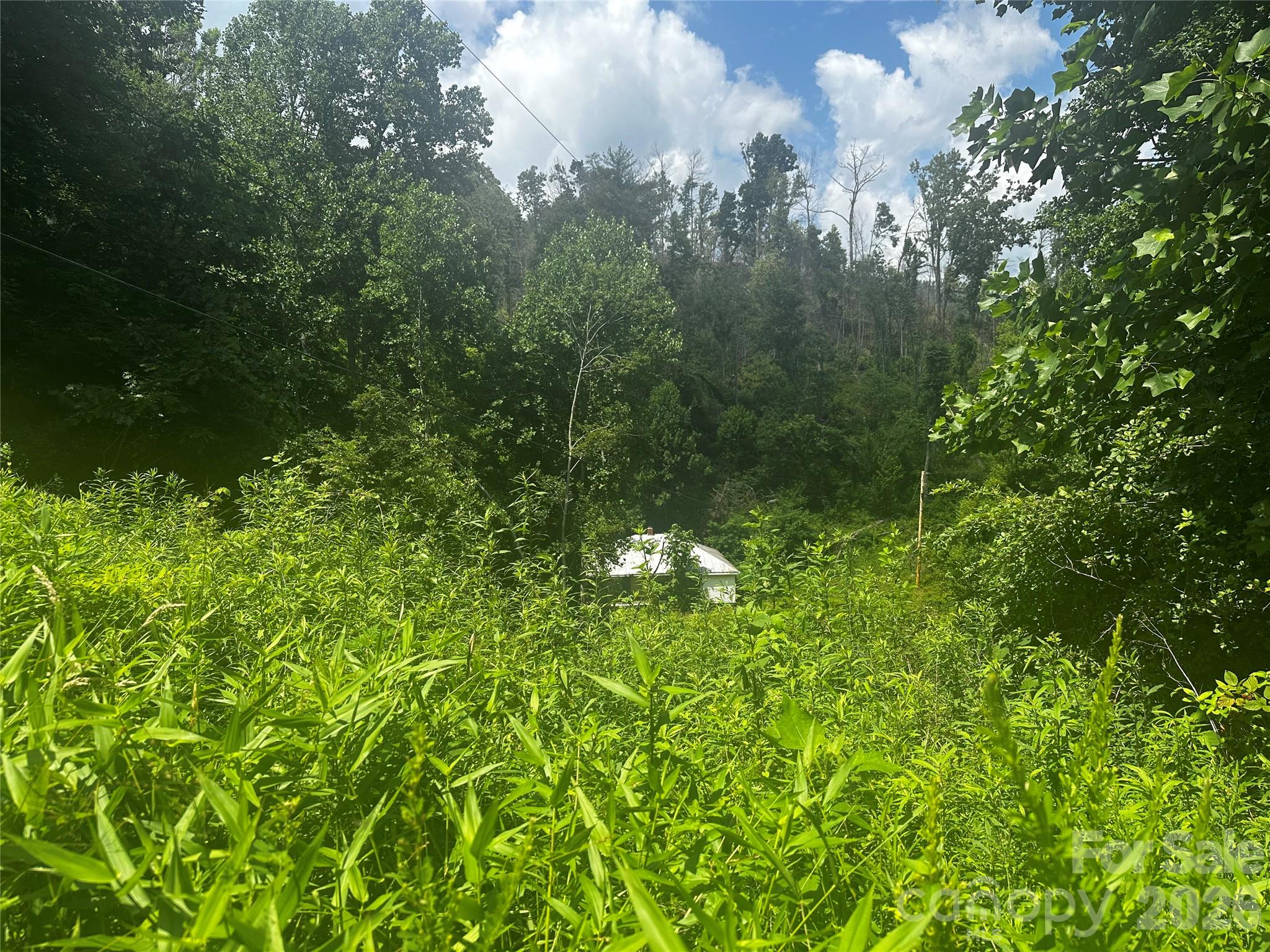 main property photo 22