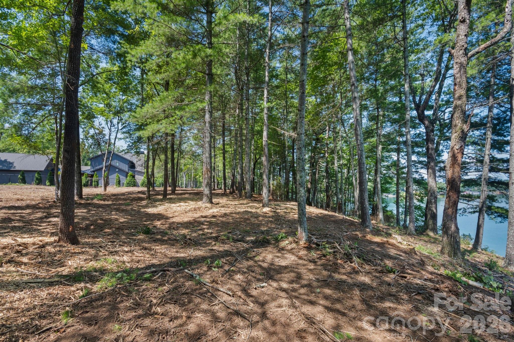 main property photo 20