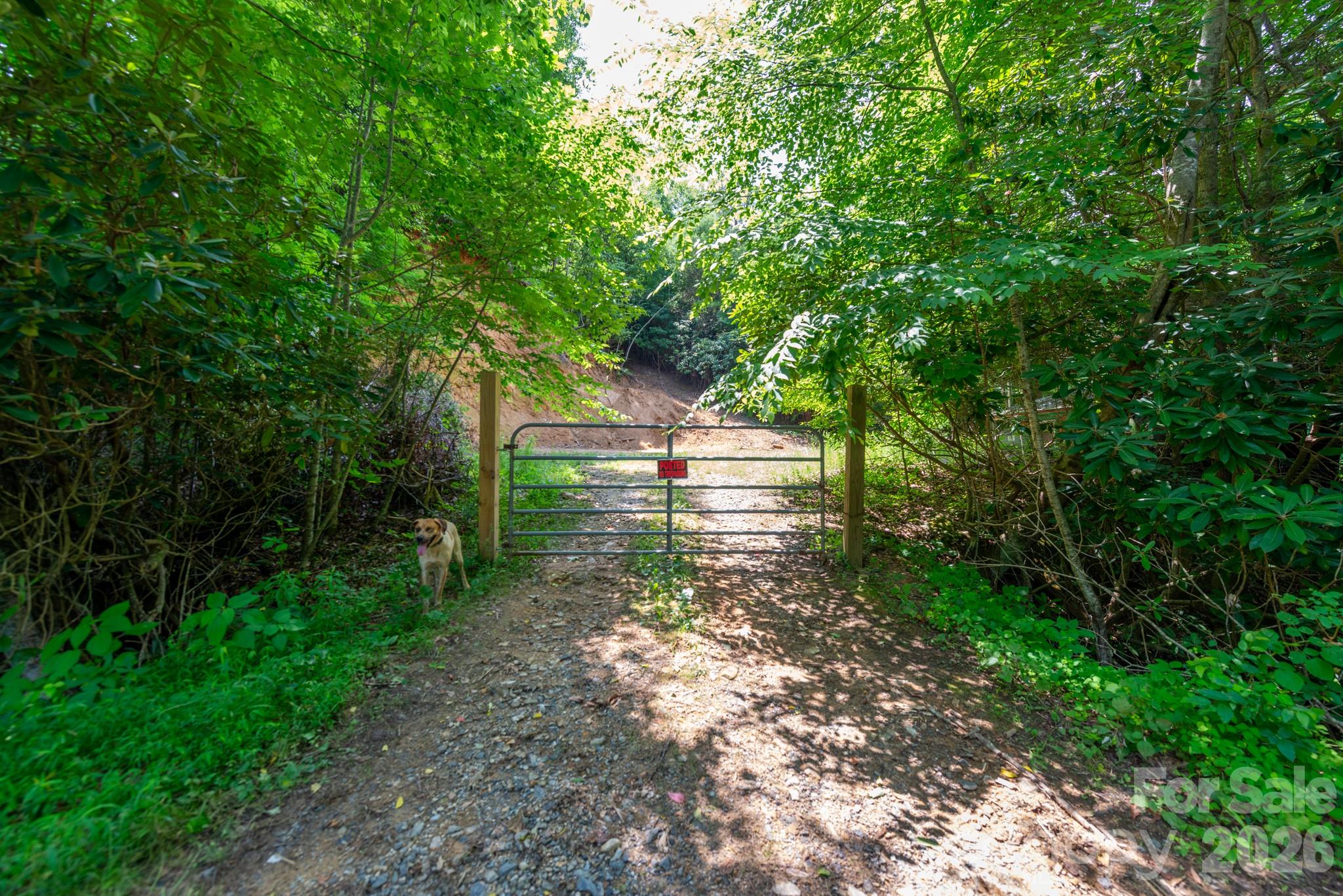 main property photo 11