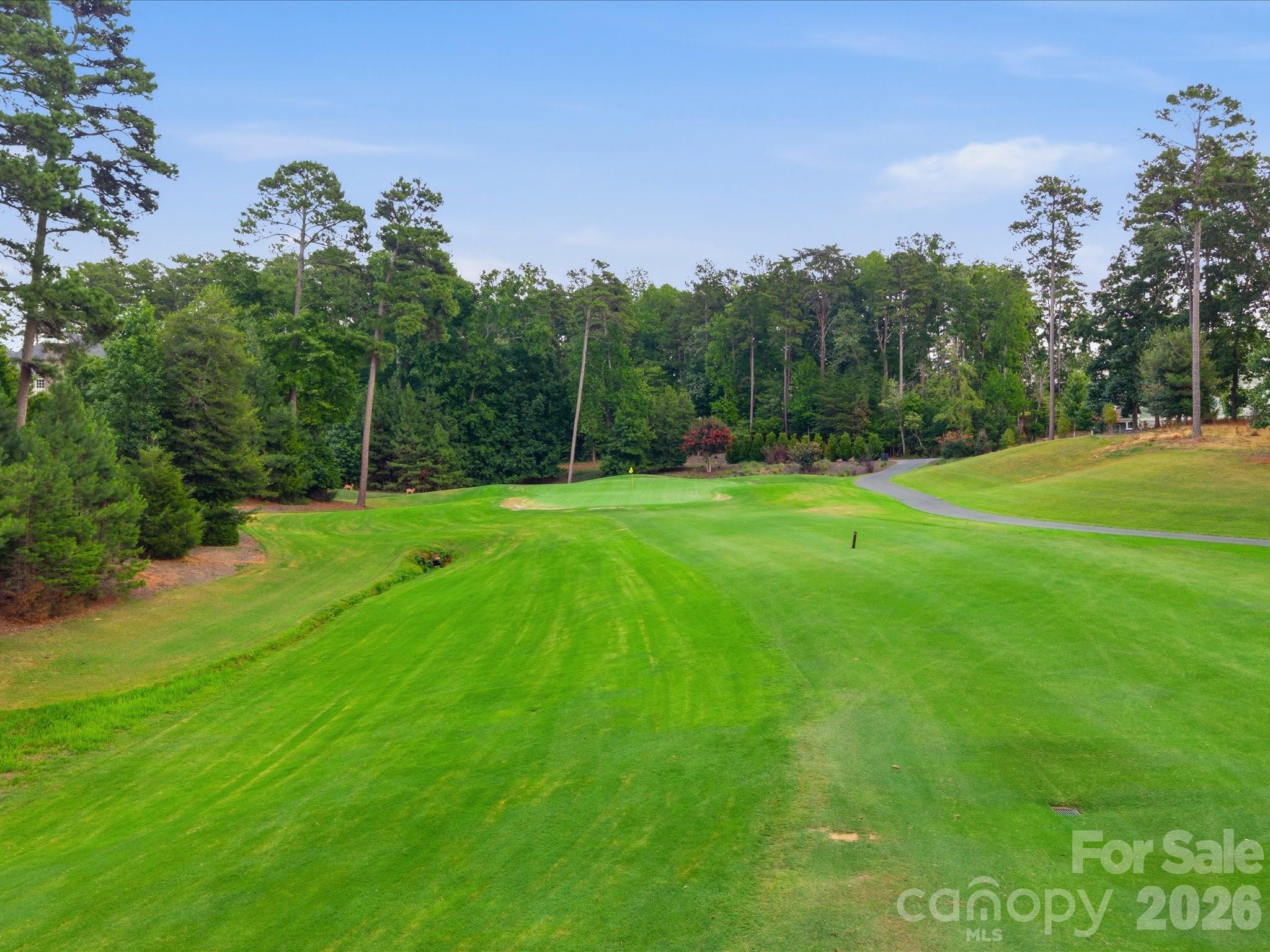 main property photo 44