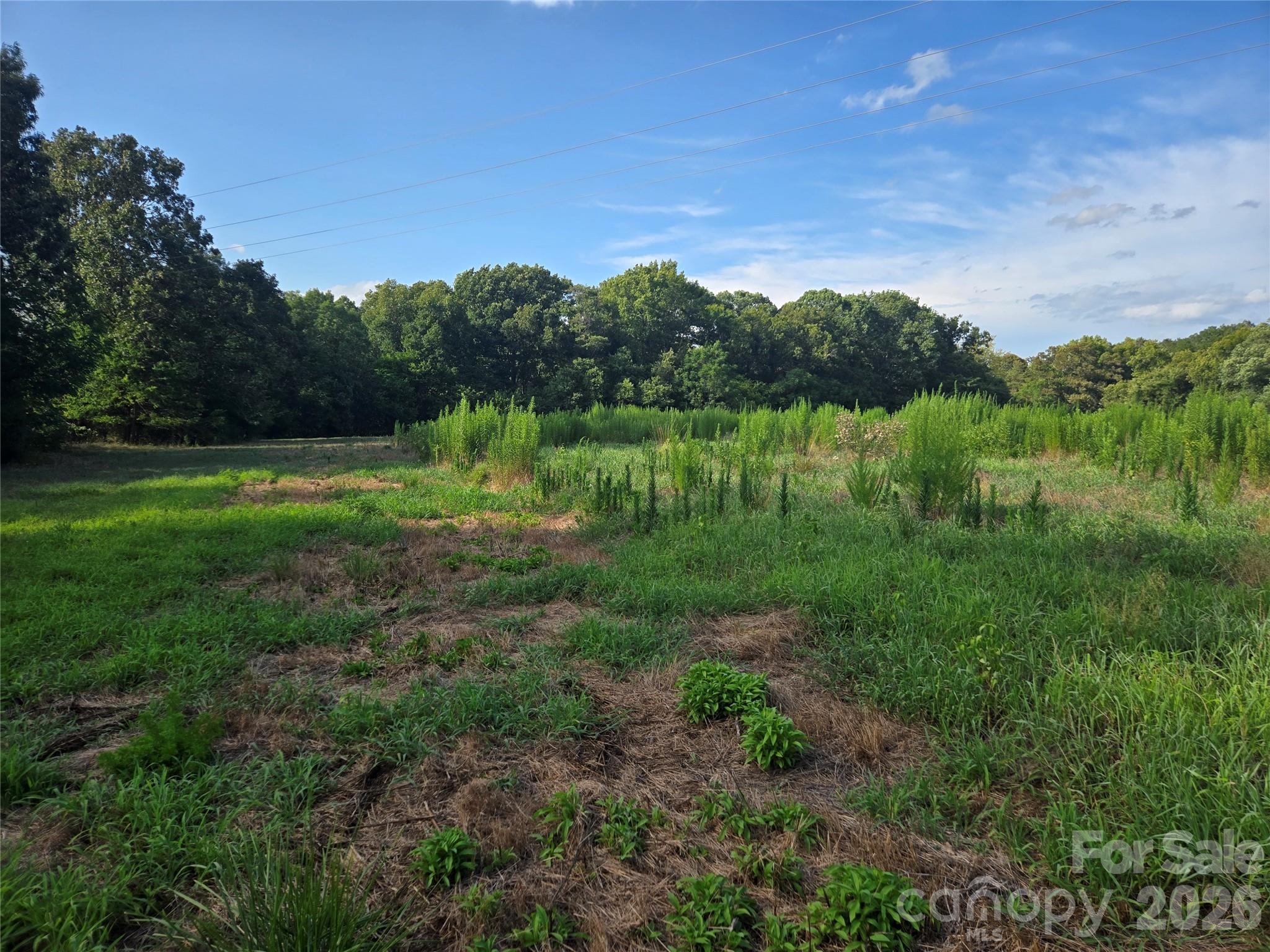 main property photo 36