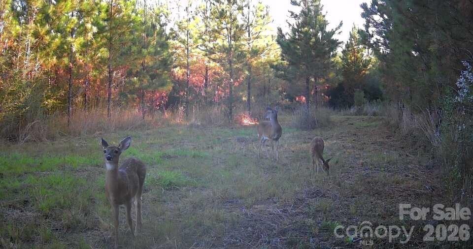 main property photo 45