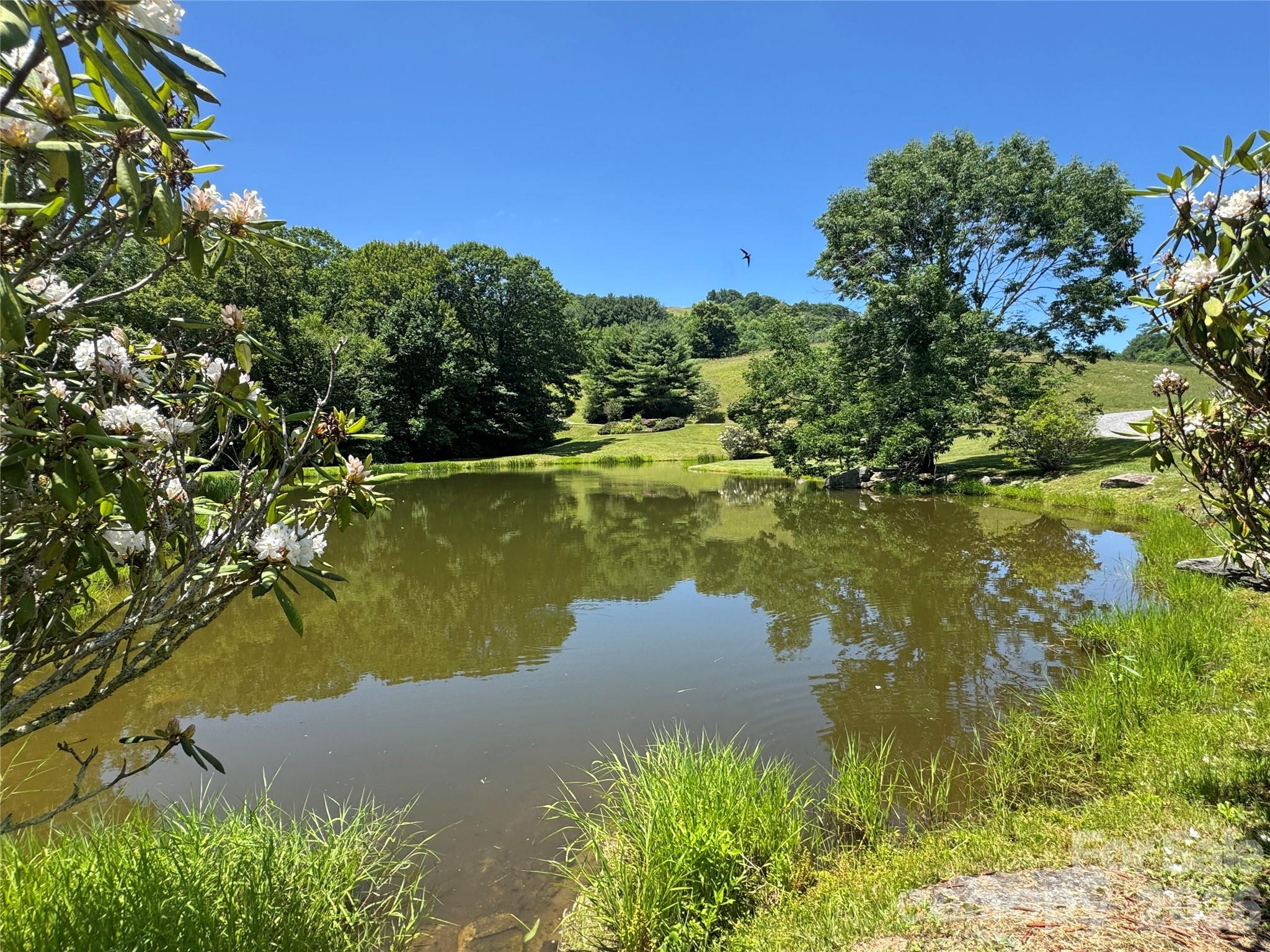 main property photo 46